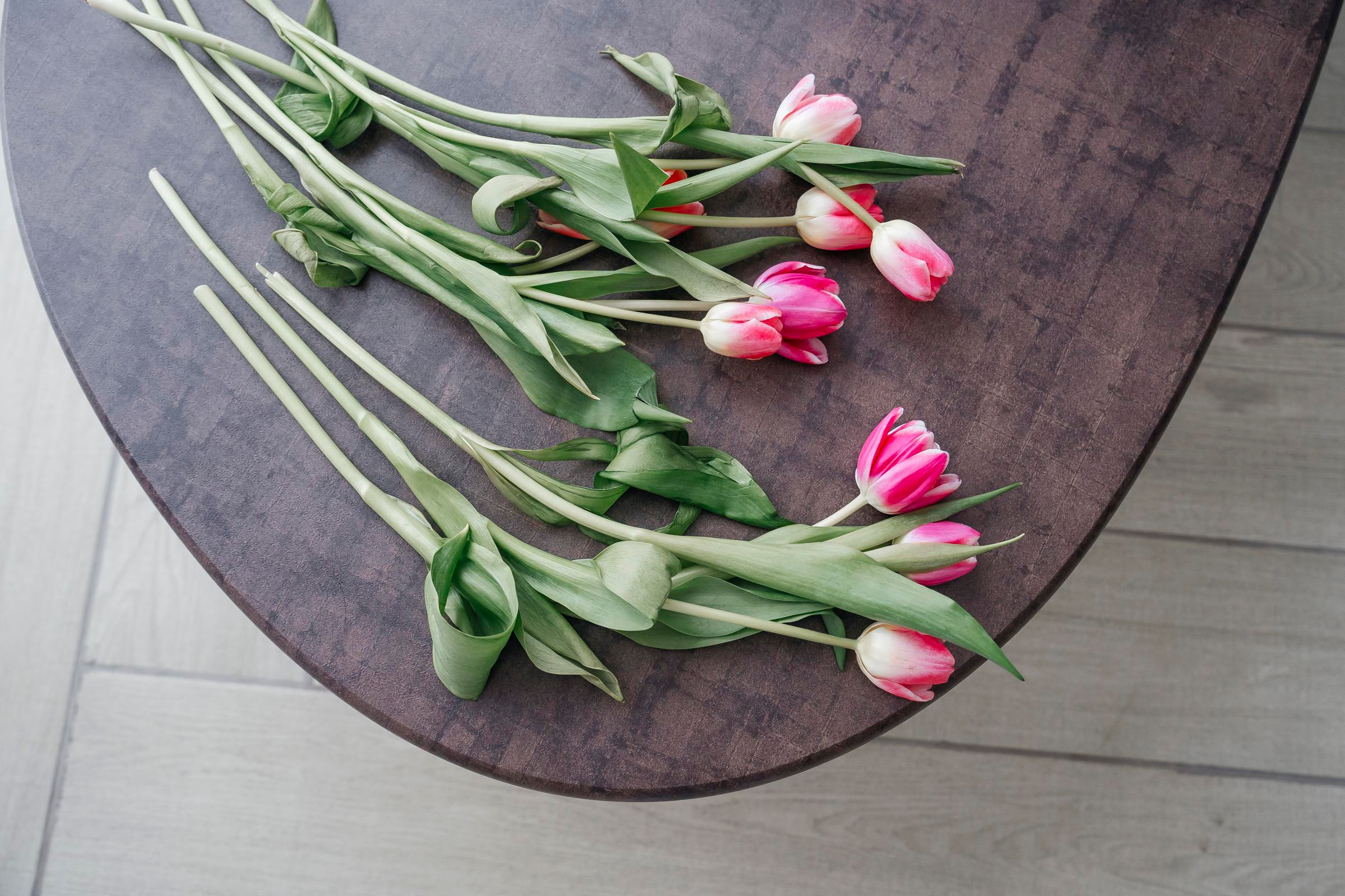 Фотодевичник 8 марта. Семейный и репортажный фотограф в Москве Оксана Шилова