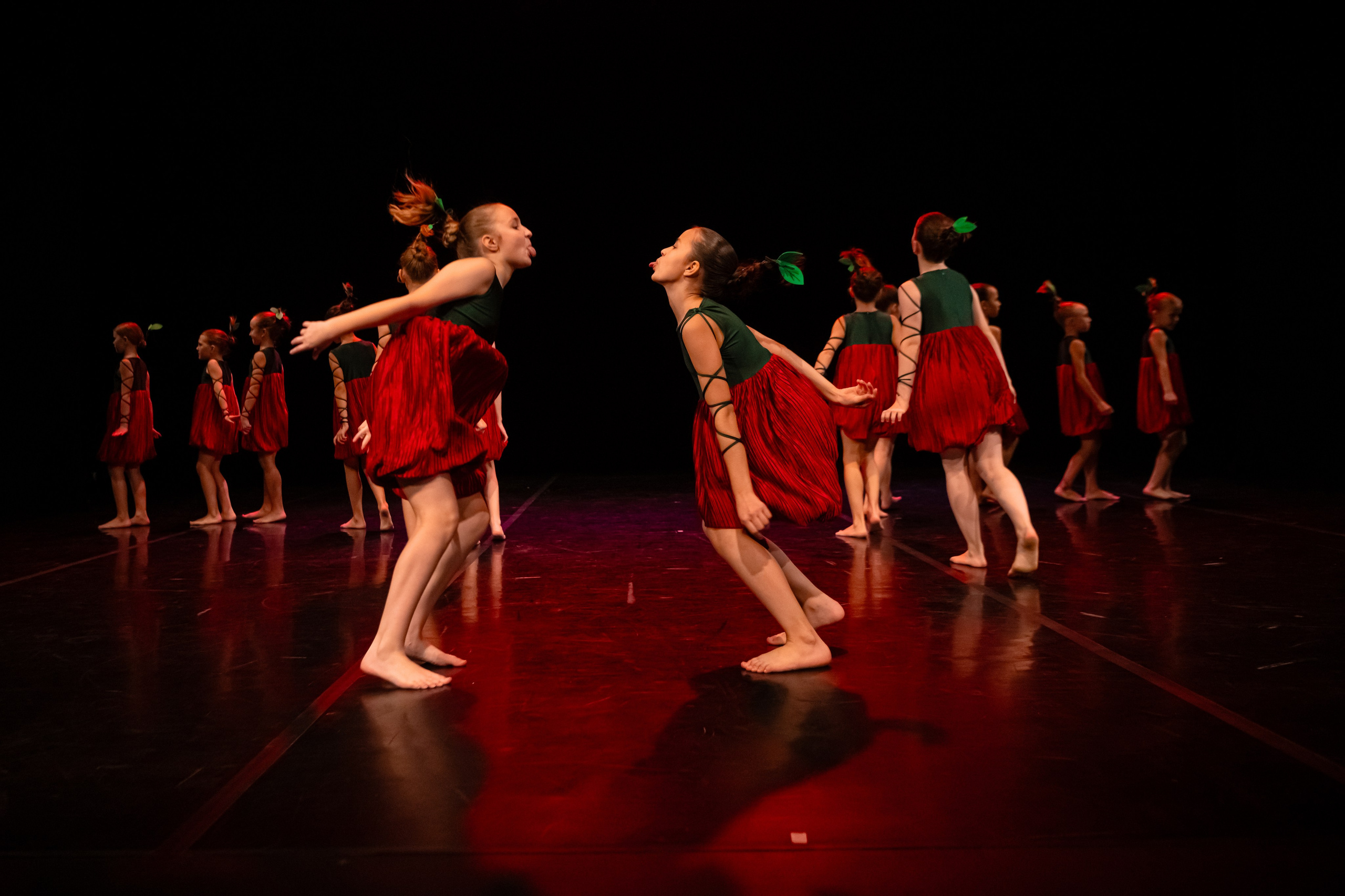 Зодиак. Семейный концерт. Репортажный фотограф в Санкт-Петербурге Алексеева Дарья