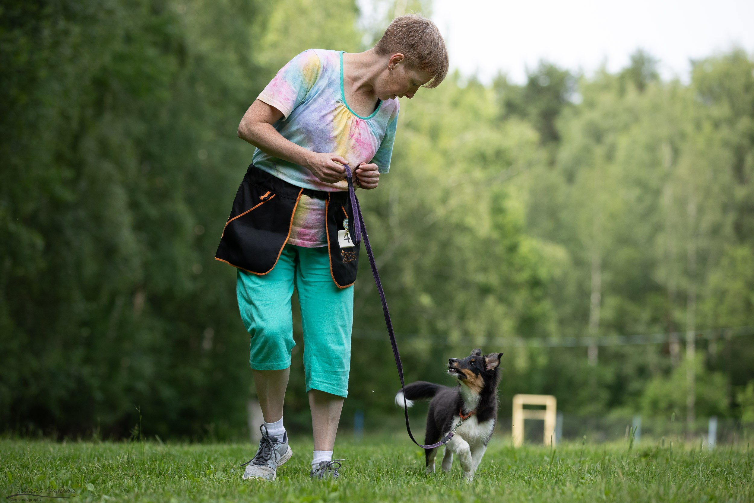 Репортаж с выводки молодняка колли/шелти в Ясенево. Фотограф-анималист в Москве и Московской области Татьяна Фролова