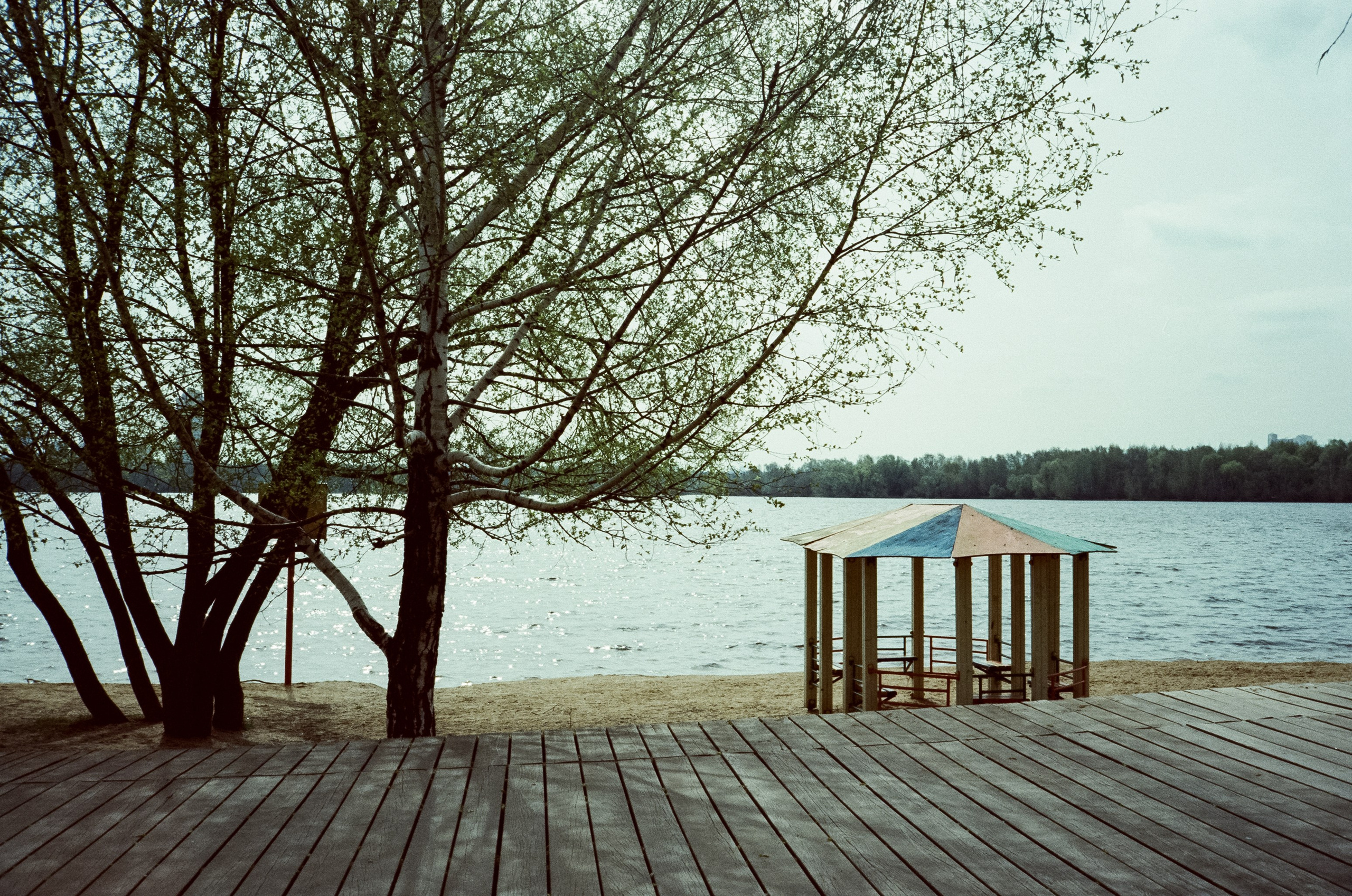 Ricoh 500GS / SFL 200T / Строгино тестовая пленка апрель 2024 г