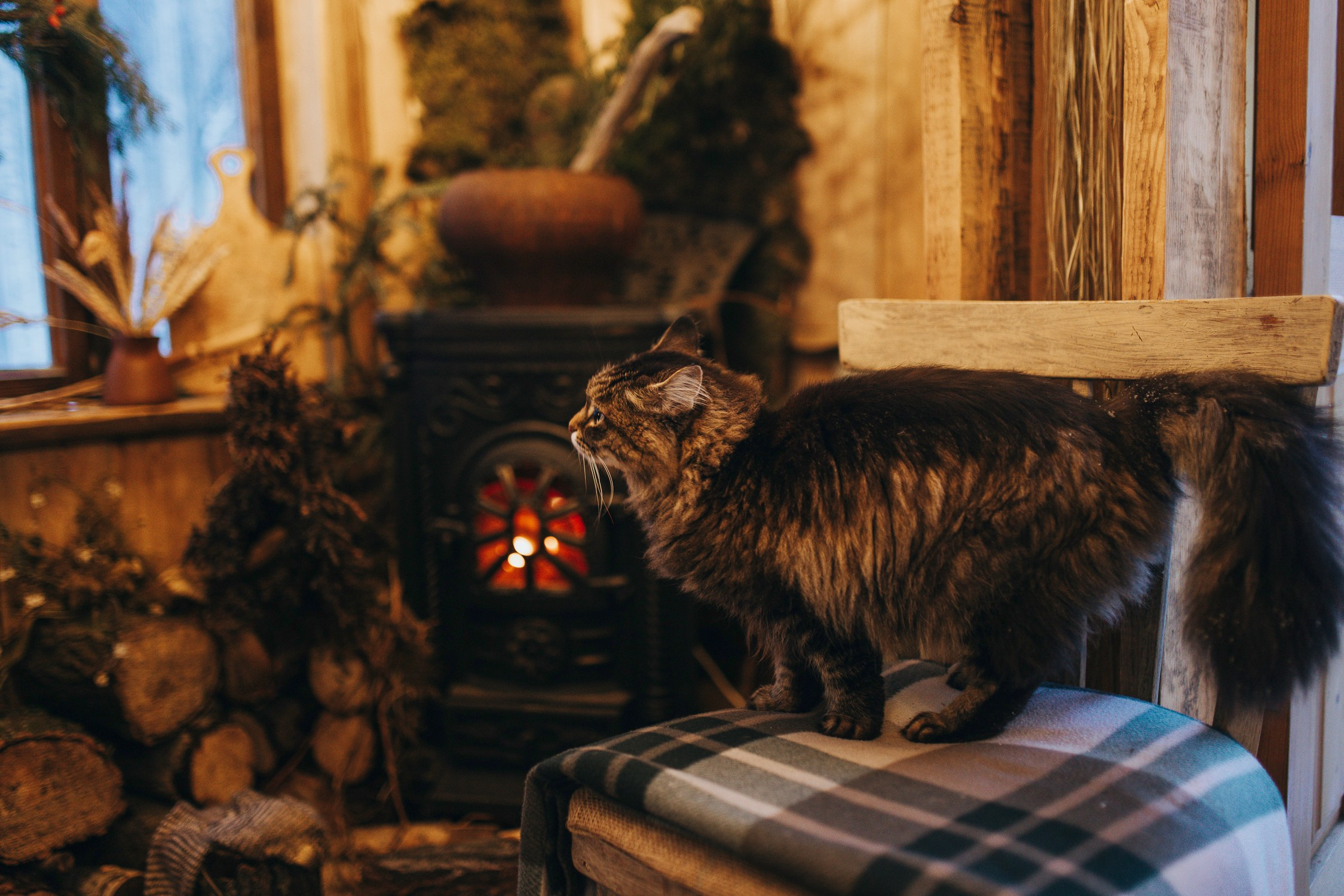 Домик на Дереве с Сеновалом — Локация в стиле Бохо/Прованс для волшебных фотосессий в Екатеринбурге. Фотостудия «Зачарованный Сад» в 20 минутах от центра Екатеринбурга