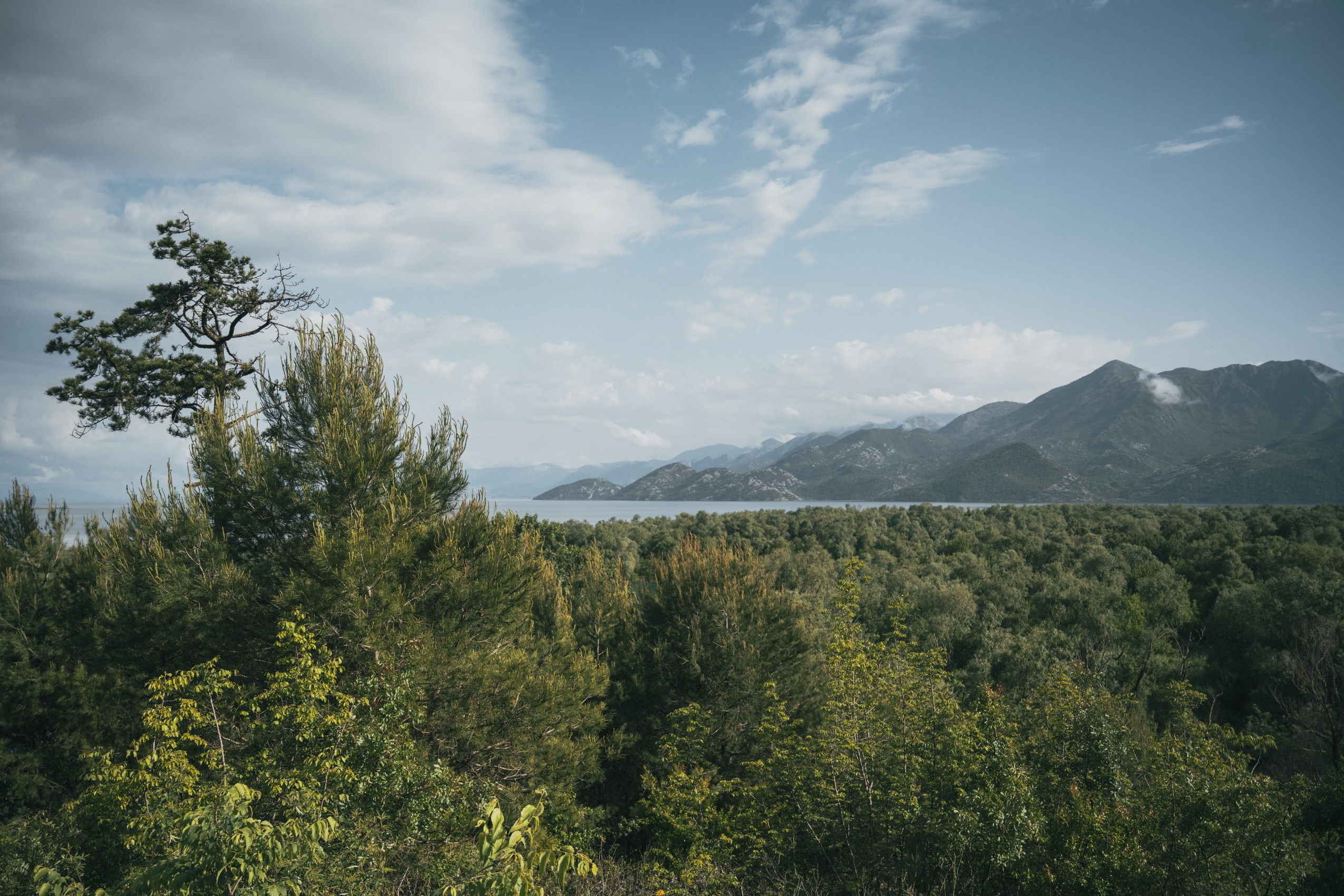 СКАДАРСКОЕ ОЗЕРО. ЧЕРНОГОРИЯ. Фотограф в Белграде Чугреева Елена