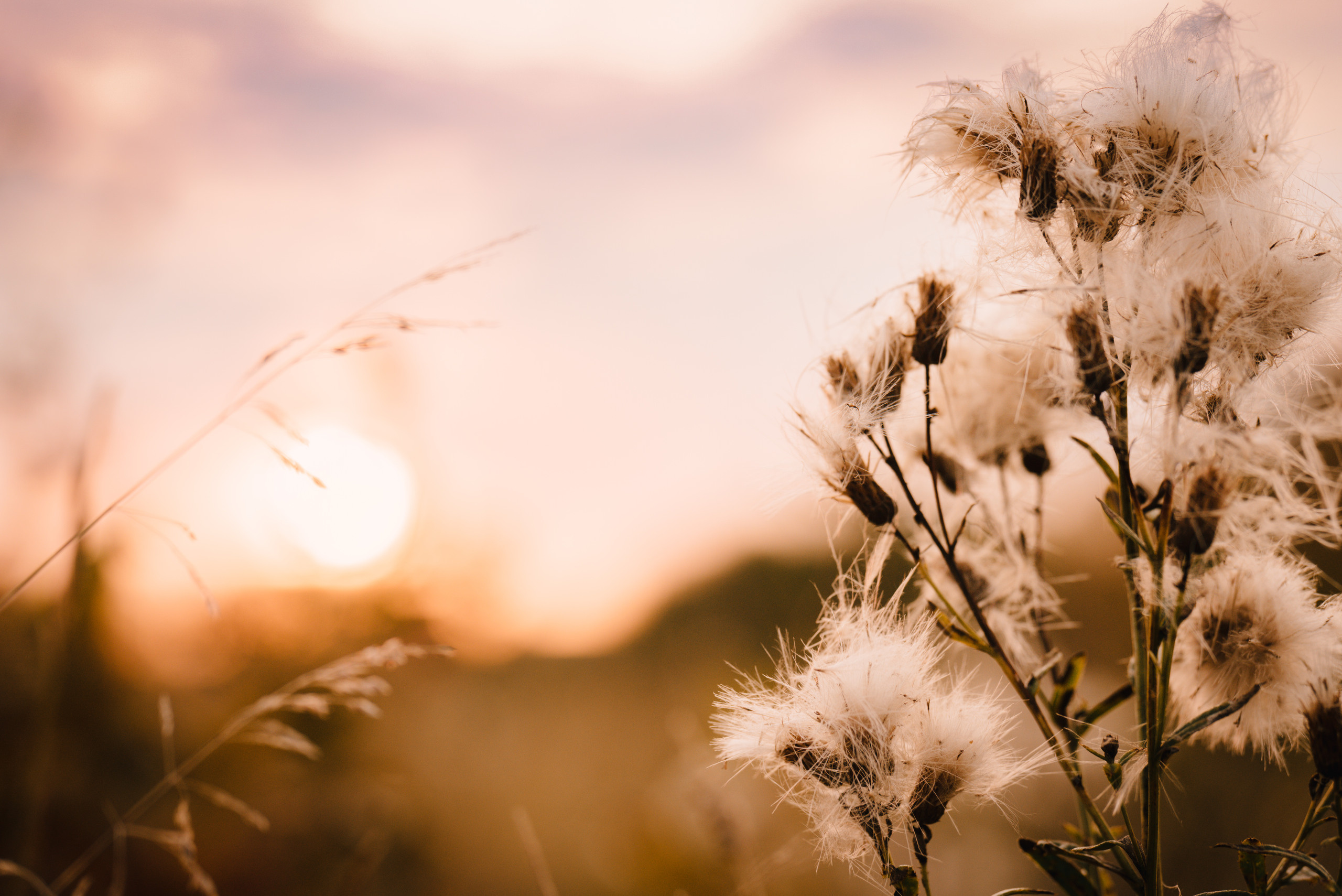 Рассветная. Семейный и детский фотограф в Туле
