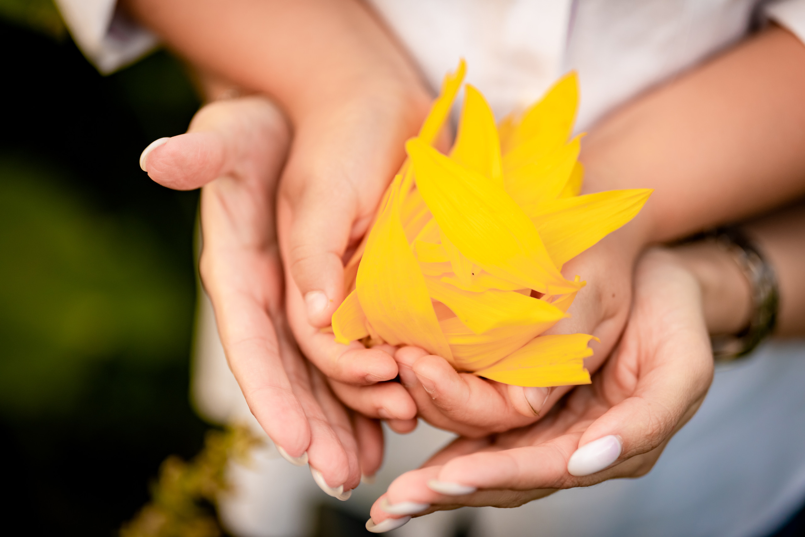 История для Алины. Семейный и детский фотограф в Туле