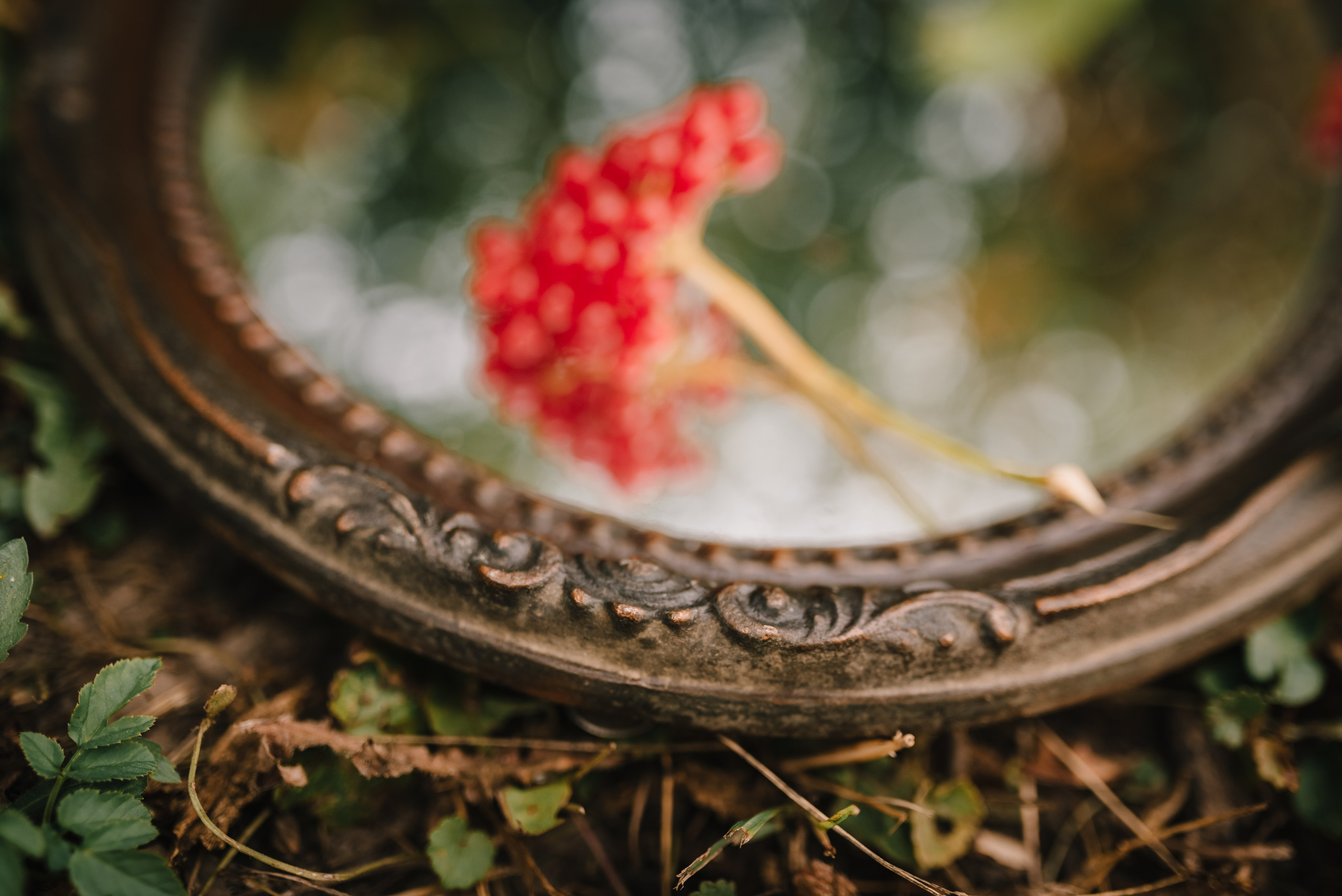 Рассветная. Семейный и детский фотограф в Туле