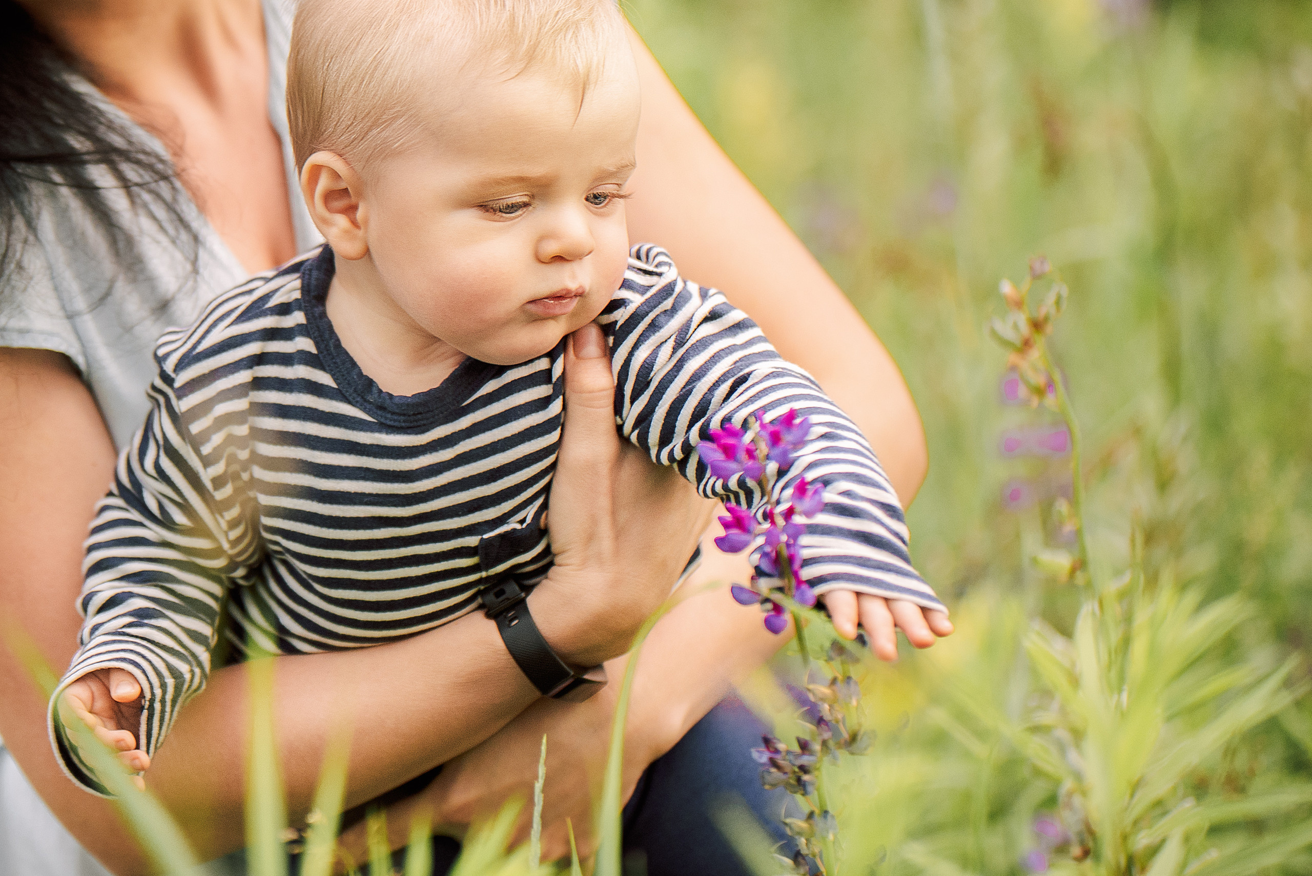 Люпиновая поляна. Семейный и детский фотограф в Туле