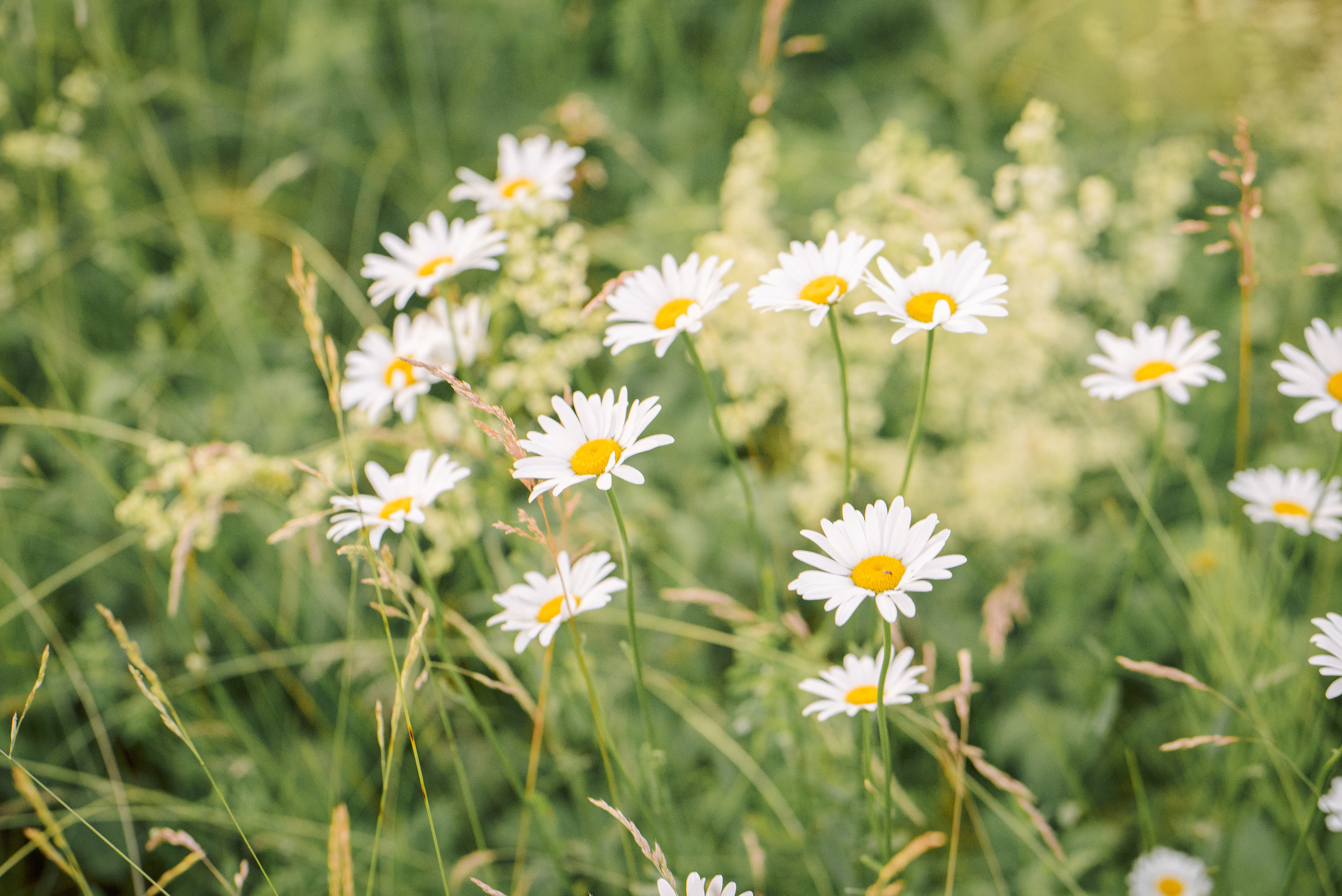 Первое в жизни лето. Семейный и детский фотограф в Туле