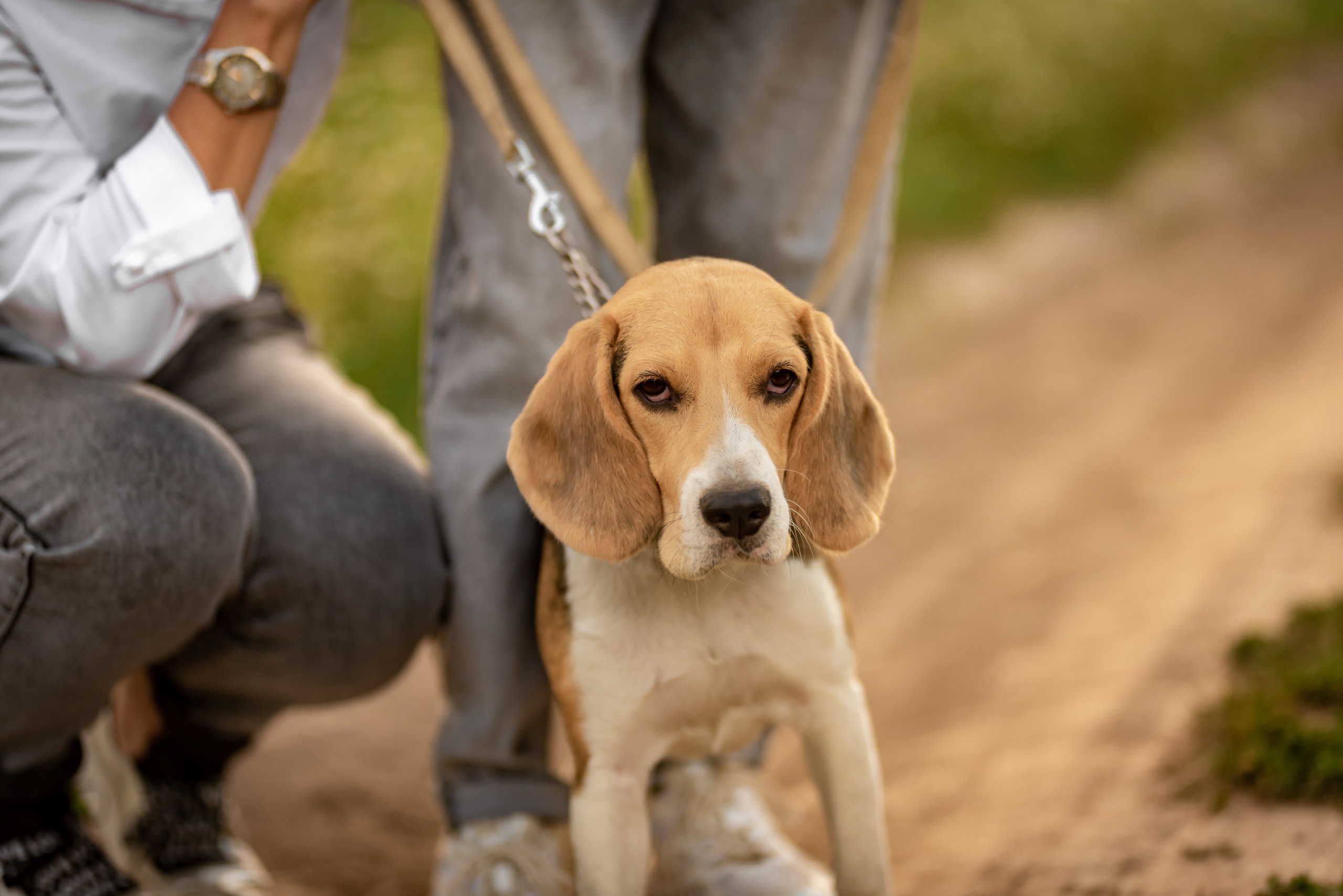 История для Алины. Семейный и детский фотограф в Туле
