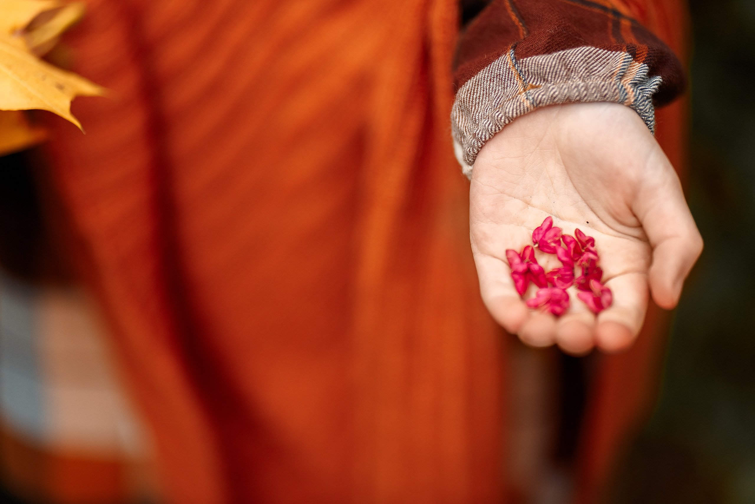 Девочка-осень. Прогулка по Ясной Поляне. Семейный и детский фотограф в Туле