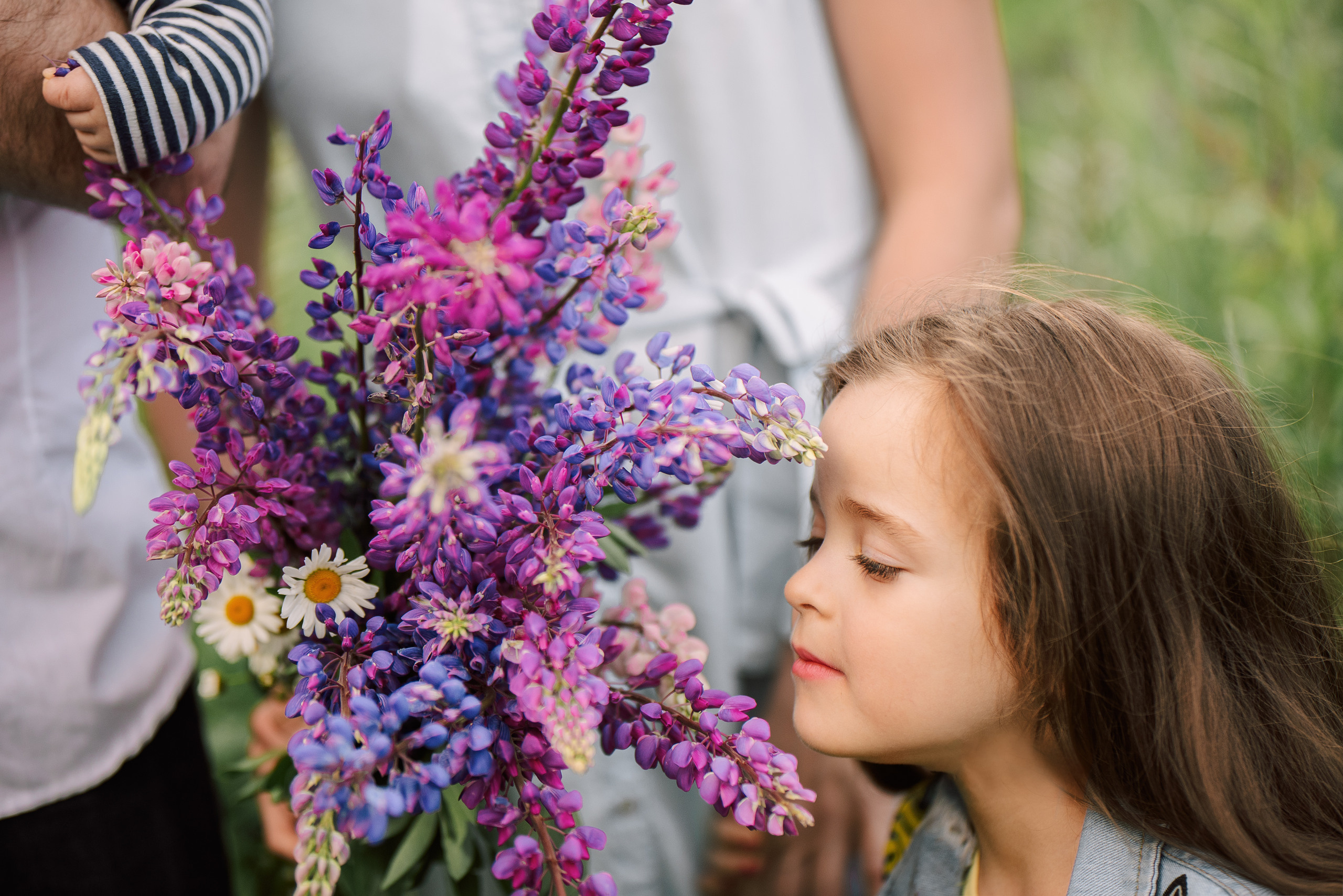 Люпиновая поляна. Семейный и детский фотограф в Туле