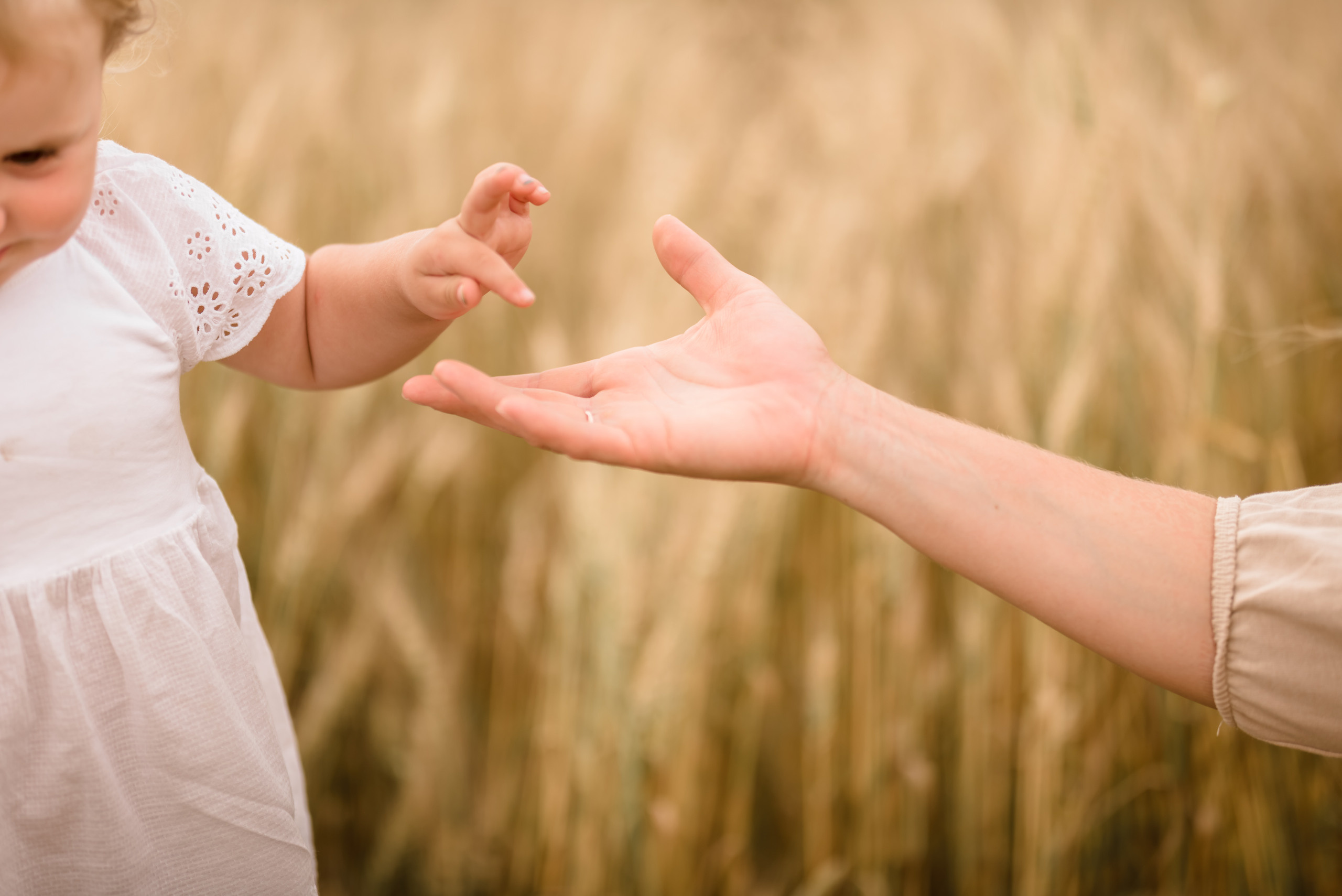 Пшеничные истории. Семейный и детский фотограф в Туле
