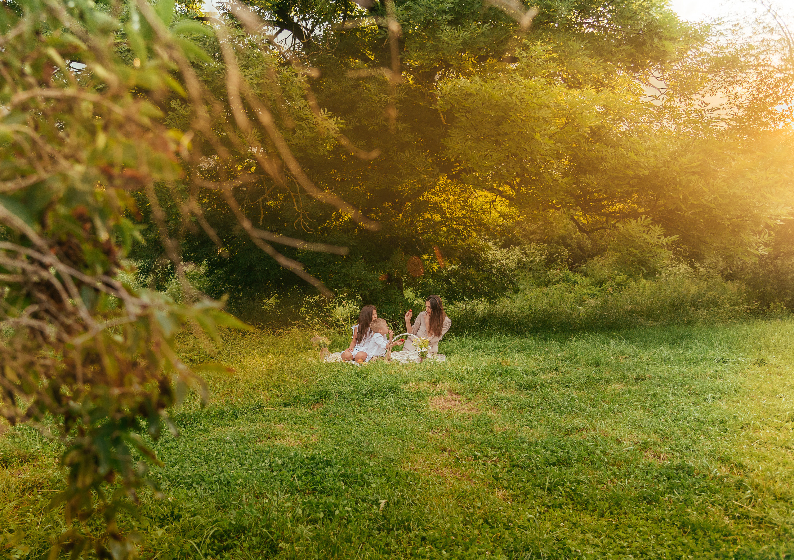 Пикник летом. Семейный и детский фотограф в Туле