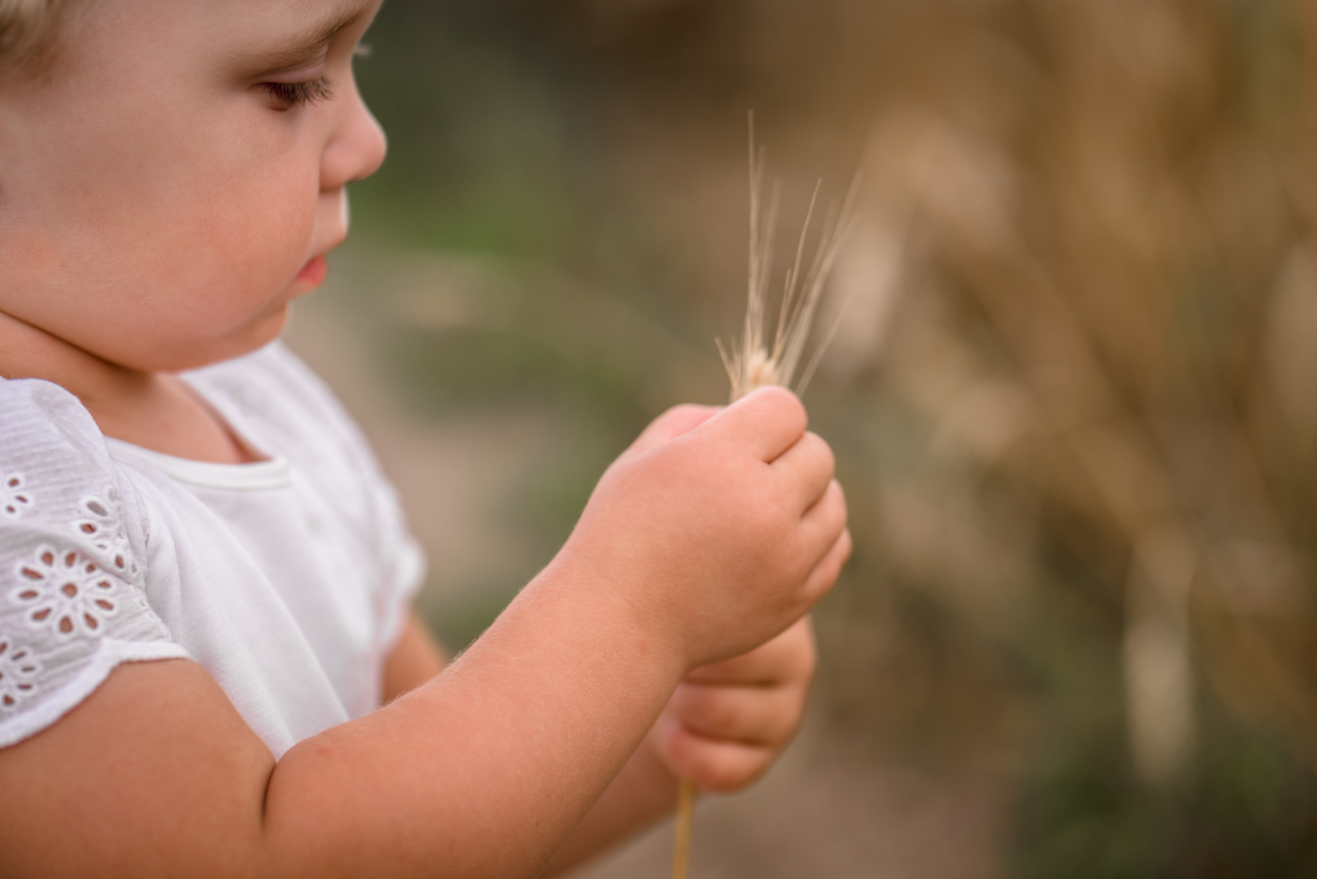 Пшеничные истории. Семейный и детский фотограф в Туле