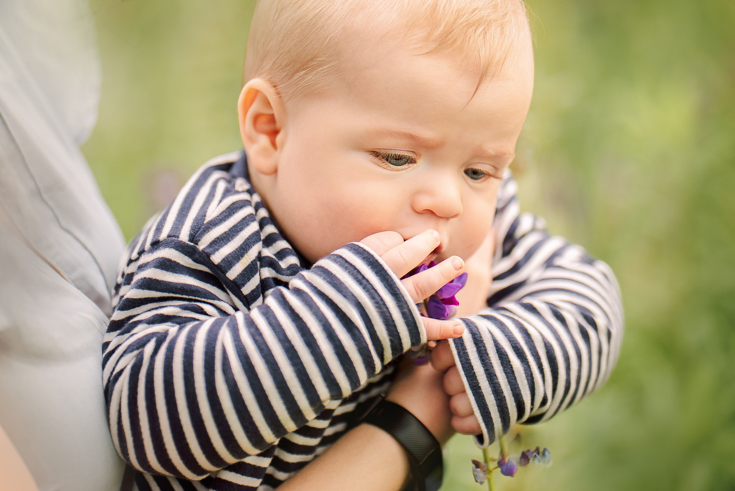 Люпиновая поляна. Семейный и детский фотограф в Туле