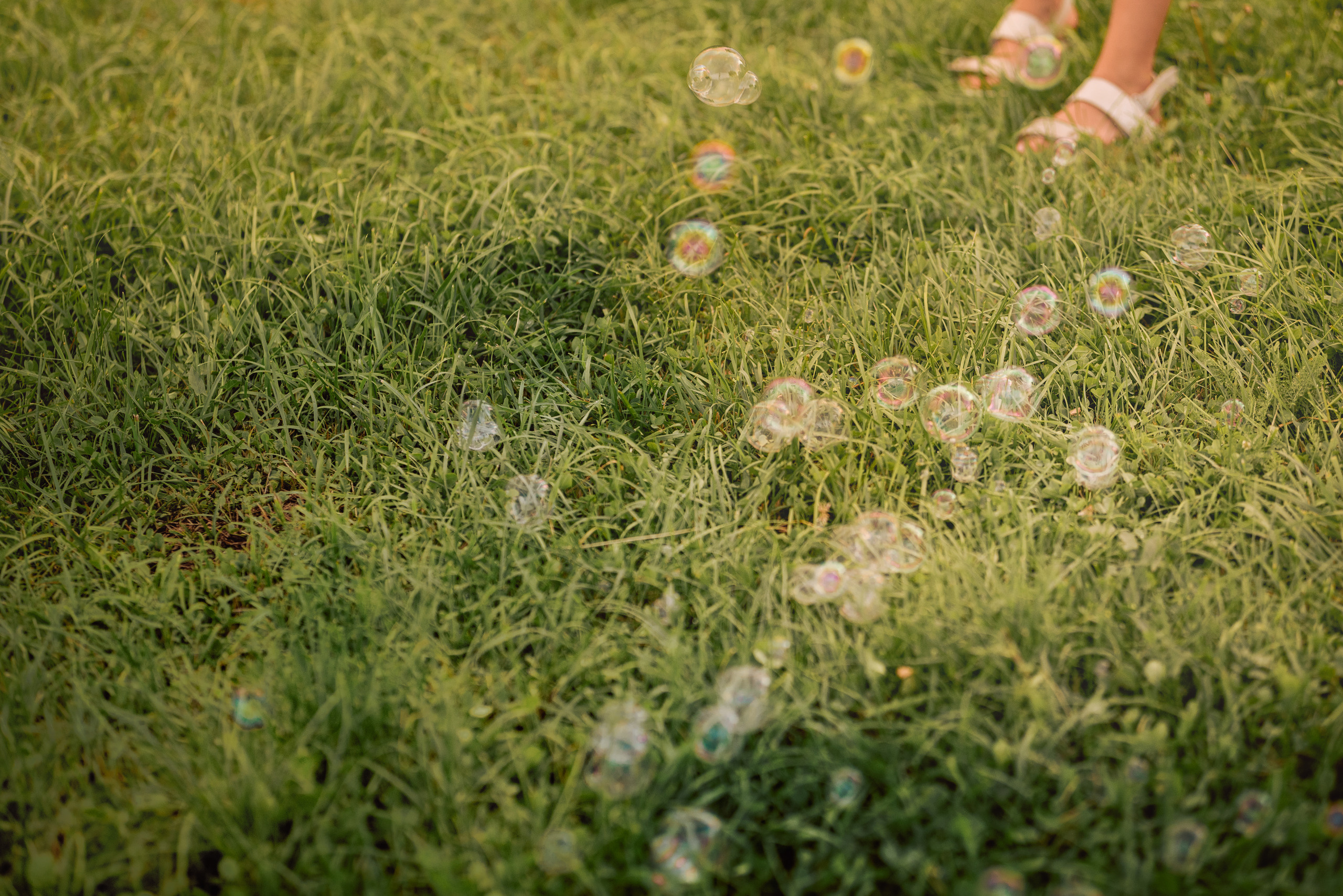 Пикник летом. Семейный и детский фотограф в Туле