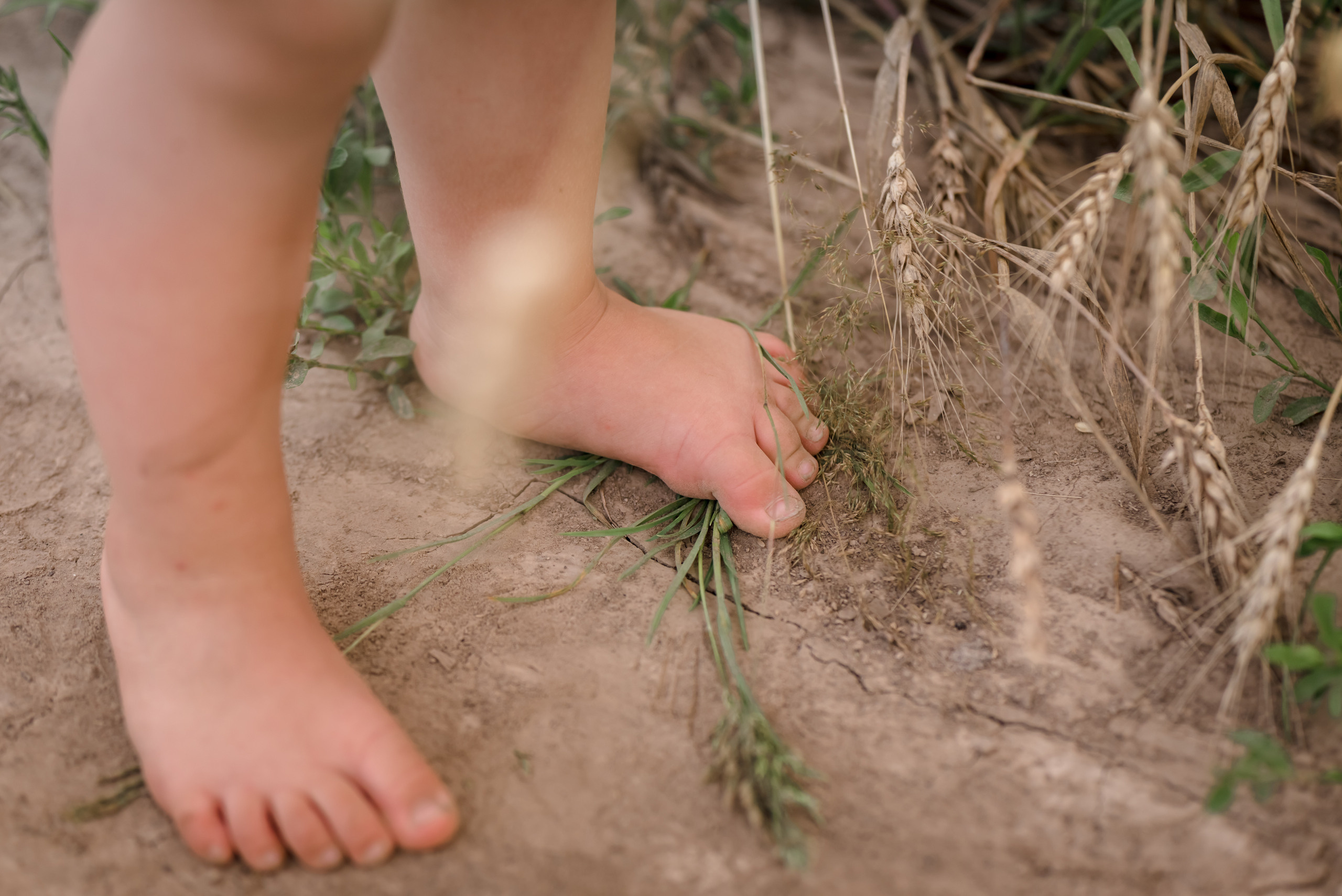 Пшеничные истории. Семейный и детский фотограф в Туле