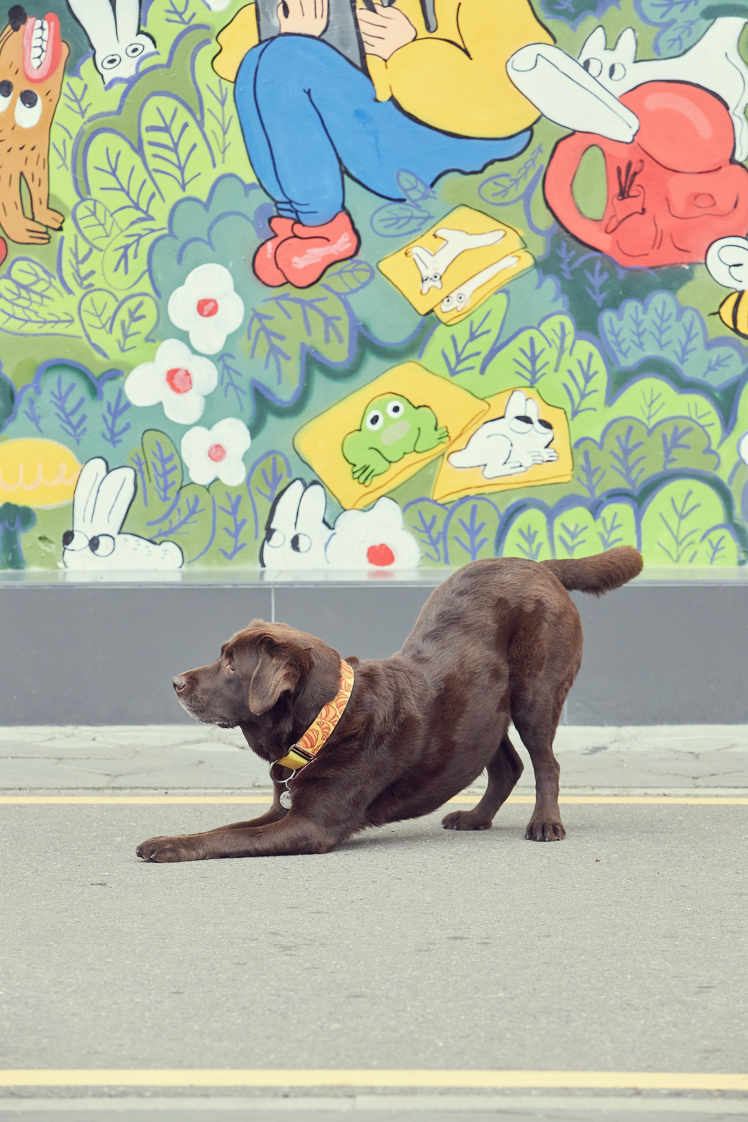 Портретная фотосессия Софы и питомцев. Екатерина Осипова — профессиональный фотограф в Москве