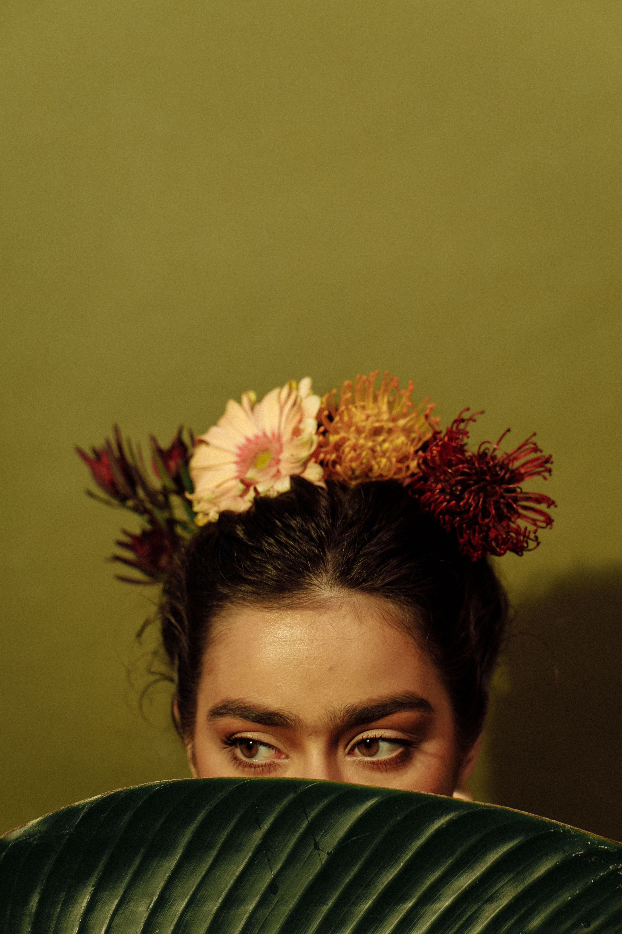 FRIDA. Главная