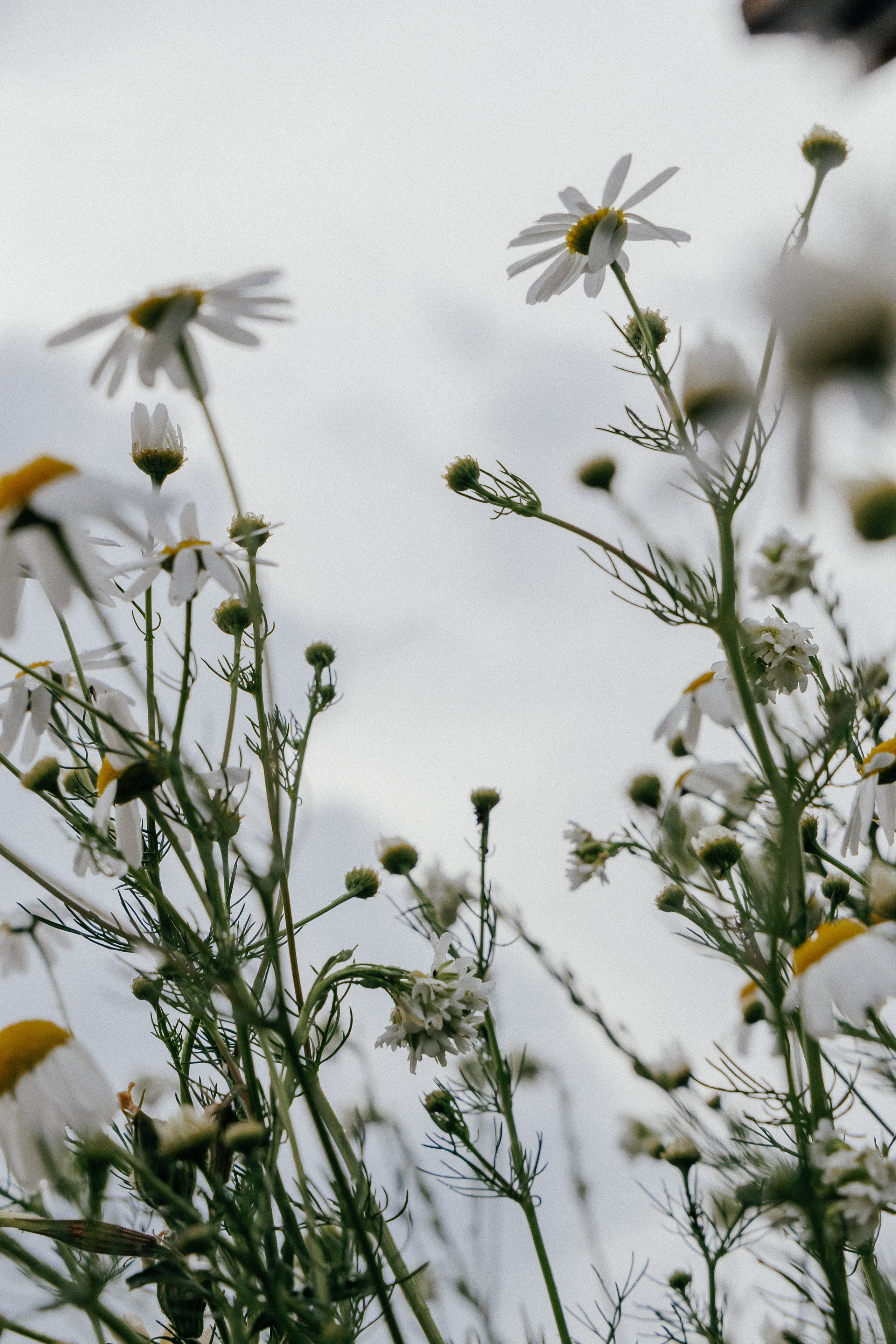 KSK Raid. Фотограф Иван Гуляев