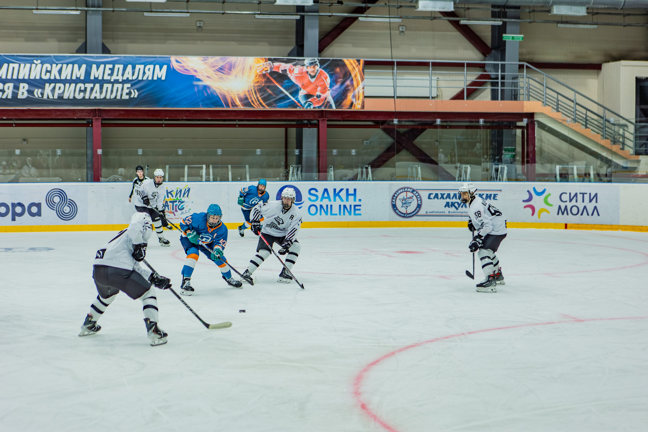 Матч «Сахалин"-"Белые Медведицы». Свадебный фотограф в Южно-Сахалинске Валерий Харченко