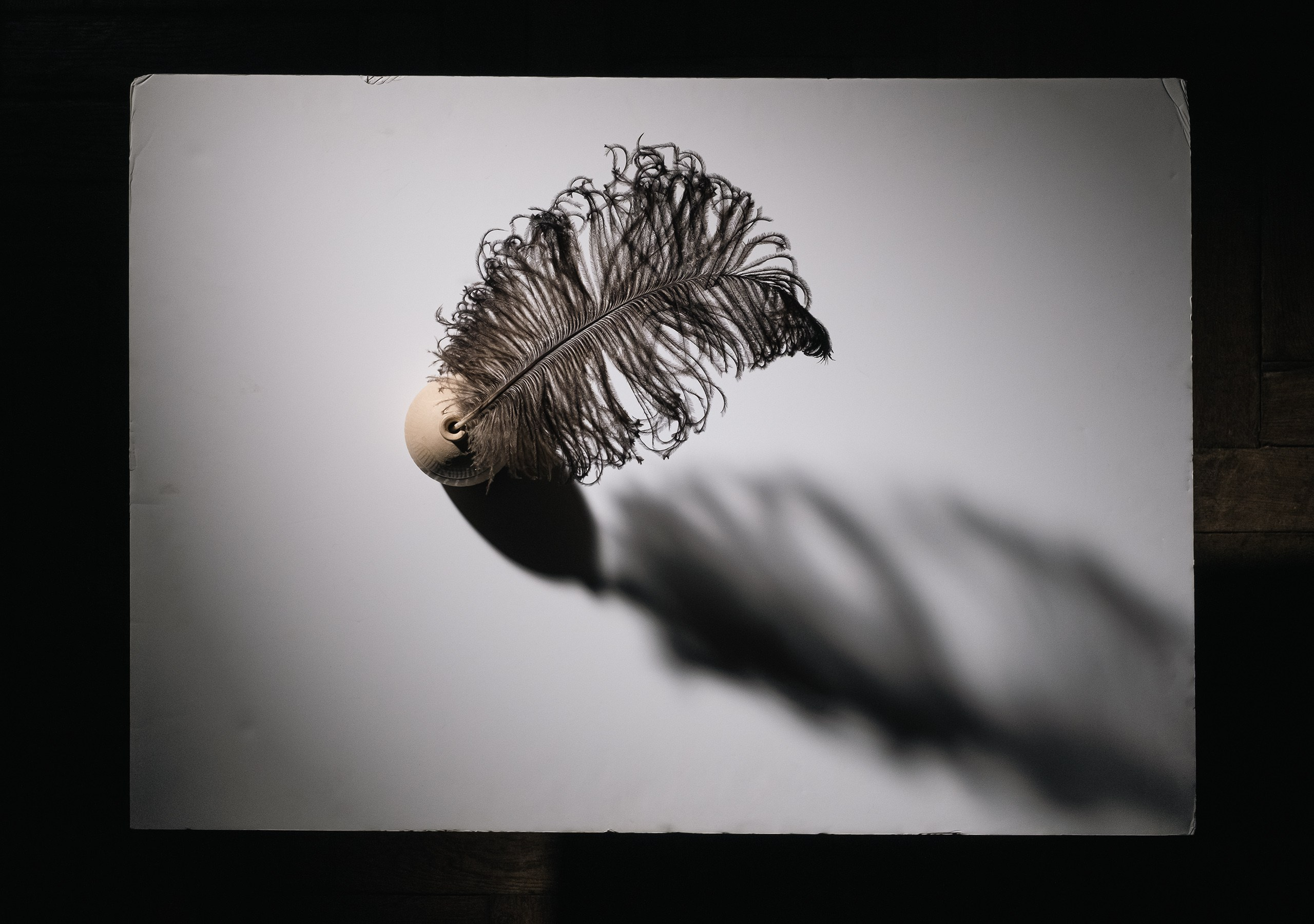 Still Life. Профессиональный фотограф Игорь Пискарев в Москве. Студийная и выездная съёмка. Портретная и предметная съёмка. Авторская фотография