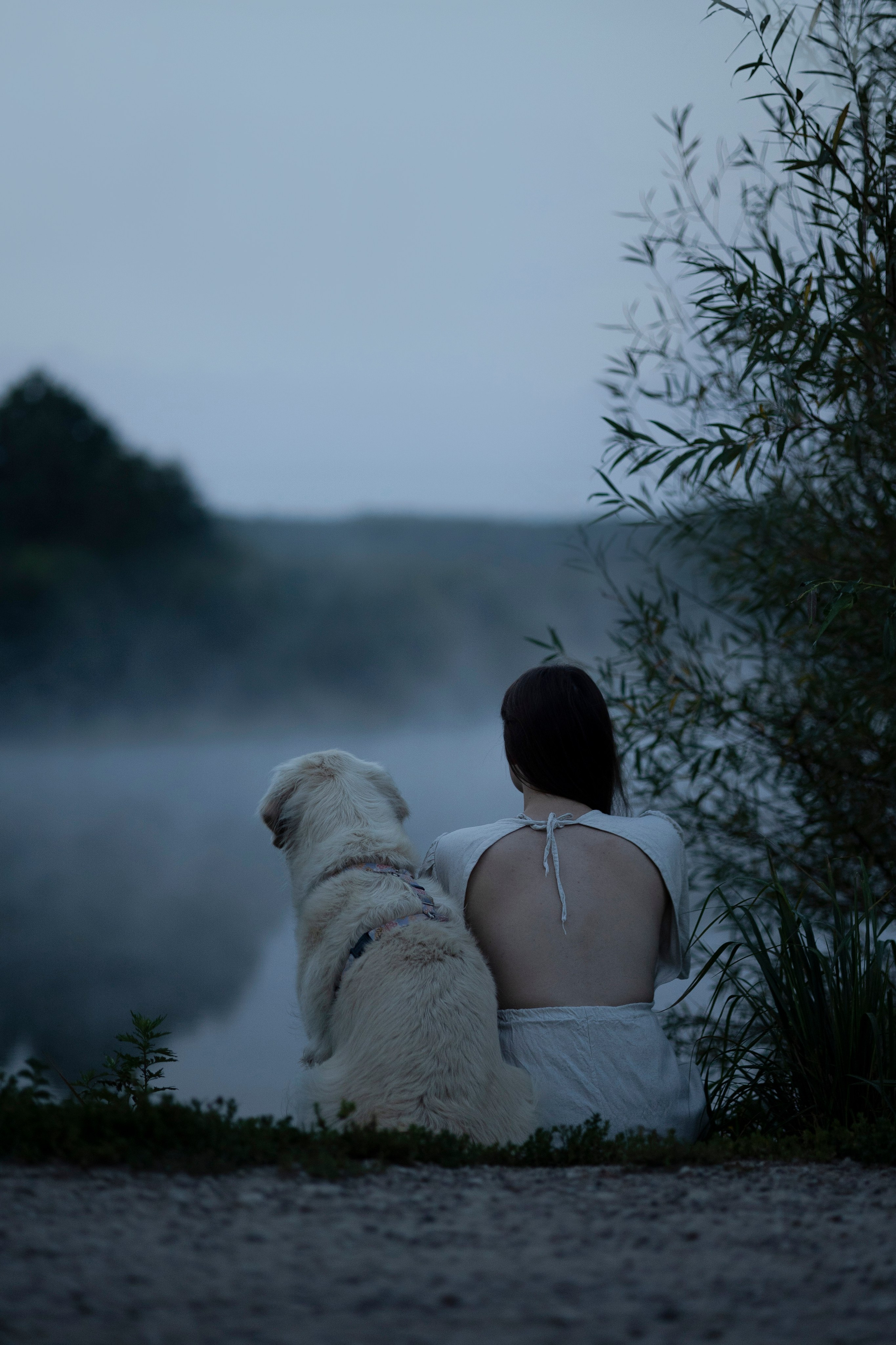 Рассветная съемка с собакой. Анастасия Белаш