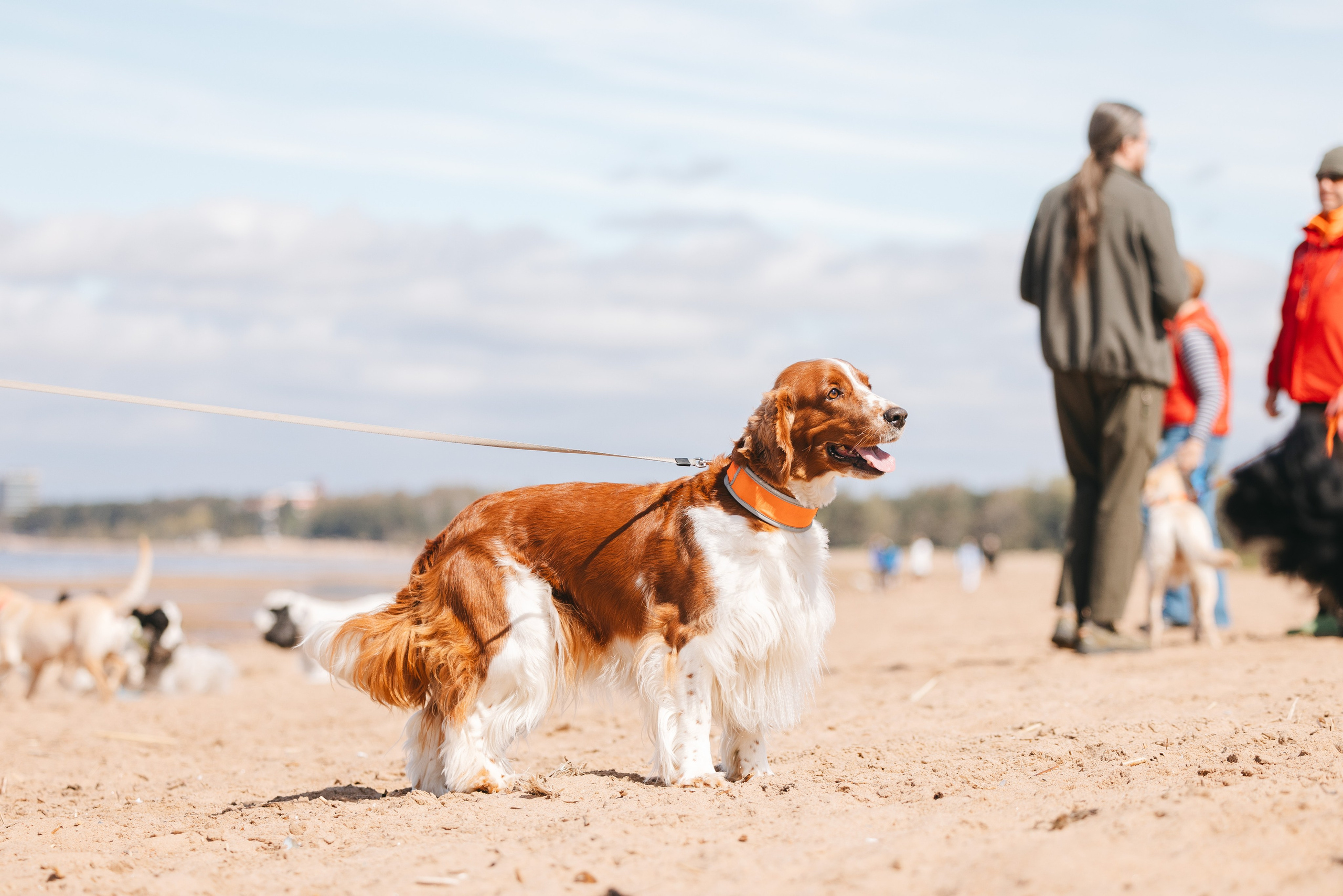 Спанимания. Фотограф анималист Осипчикова Мария