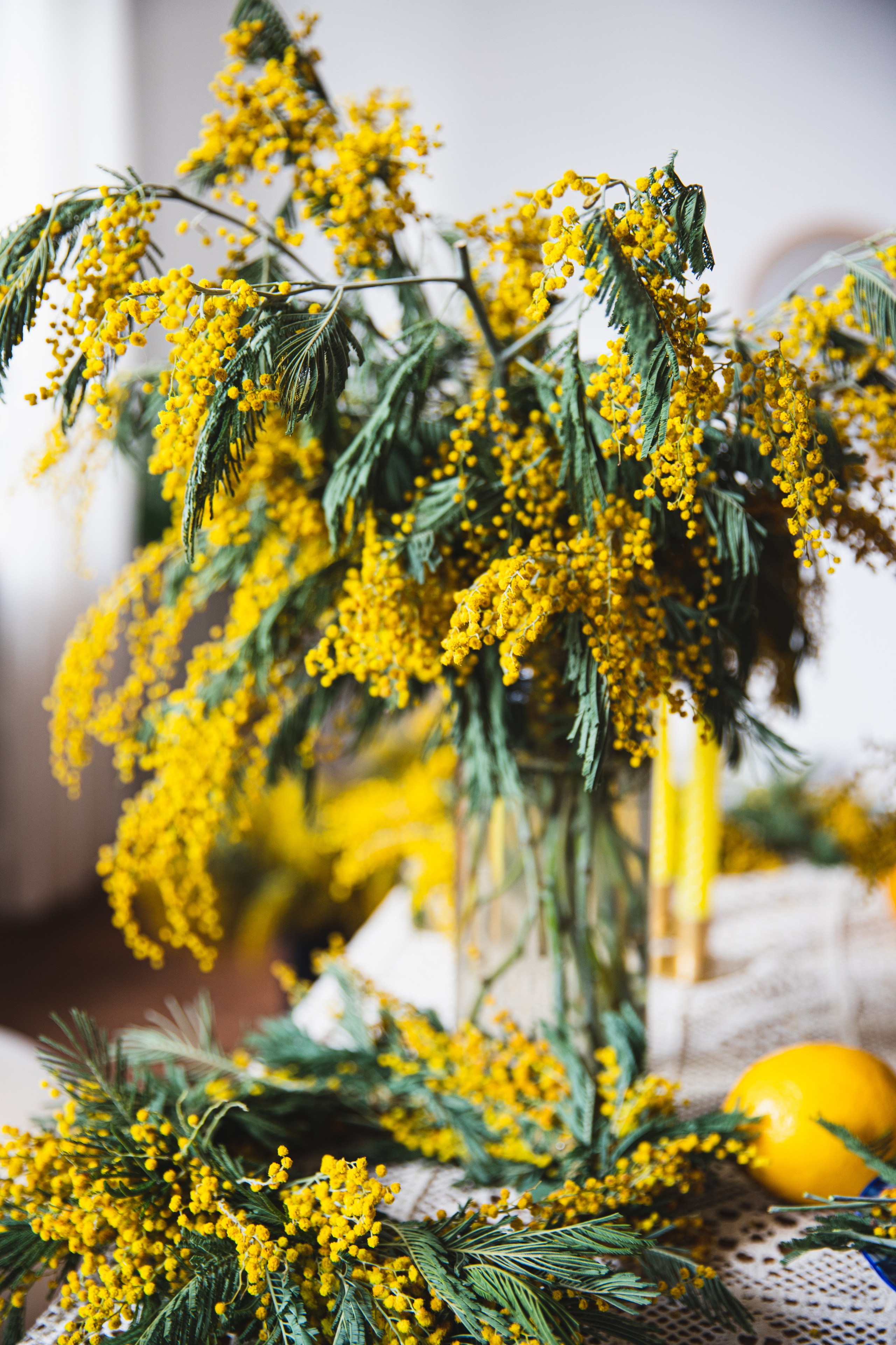 МИМОЗА. Портретный фотограф в Краснодаре Надежда Елынко