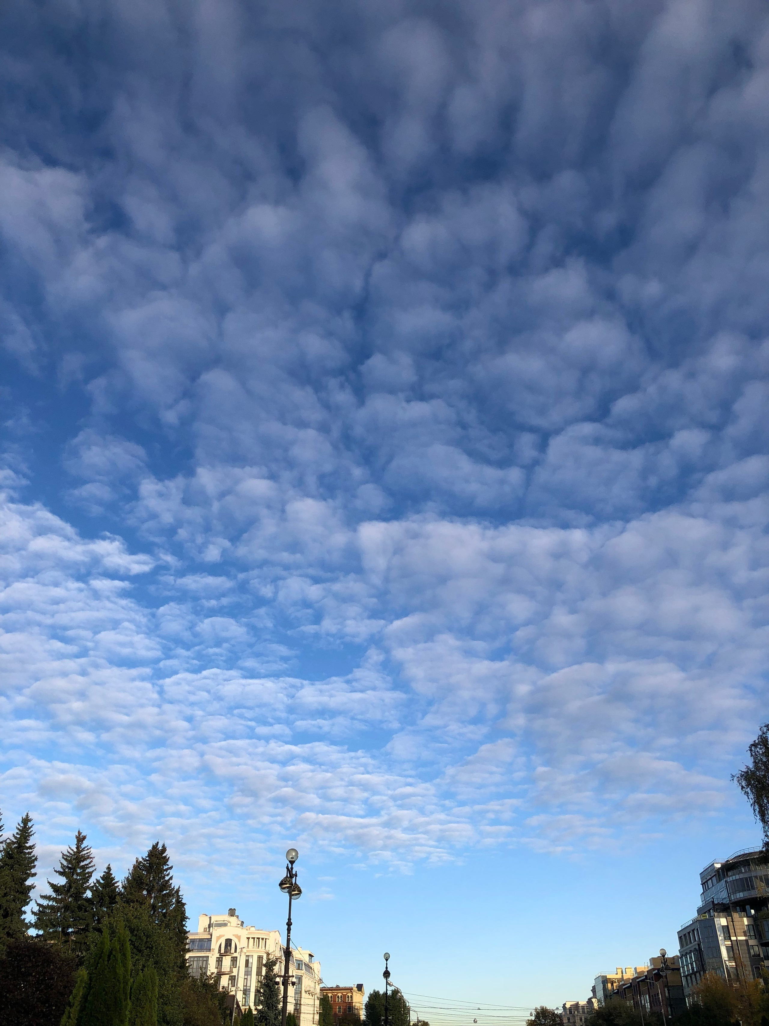 Октябрь. Семейный, Свадебный фотограф СПБ Питер— Романова Екатерина