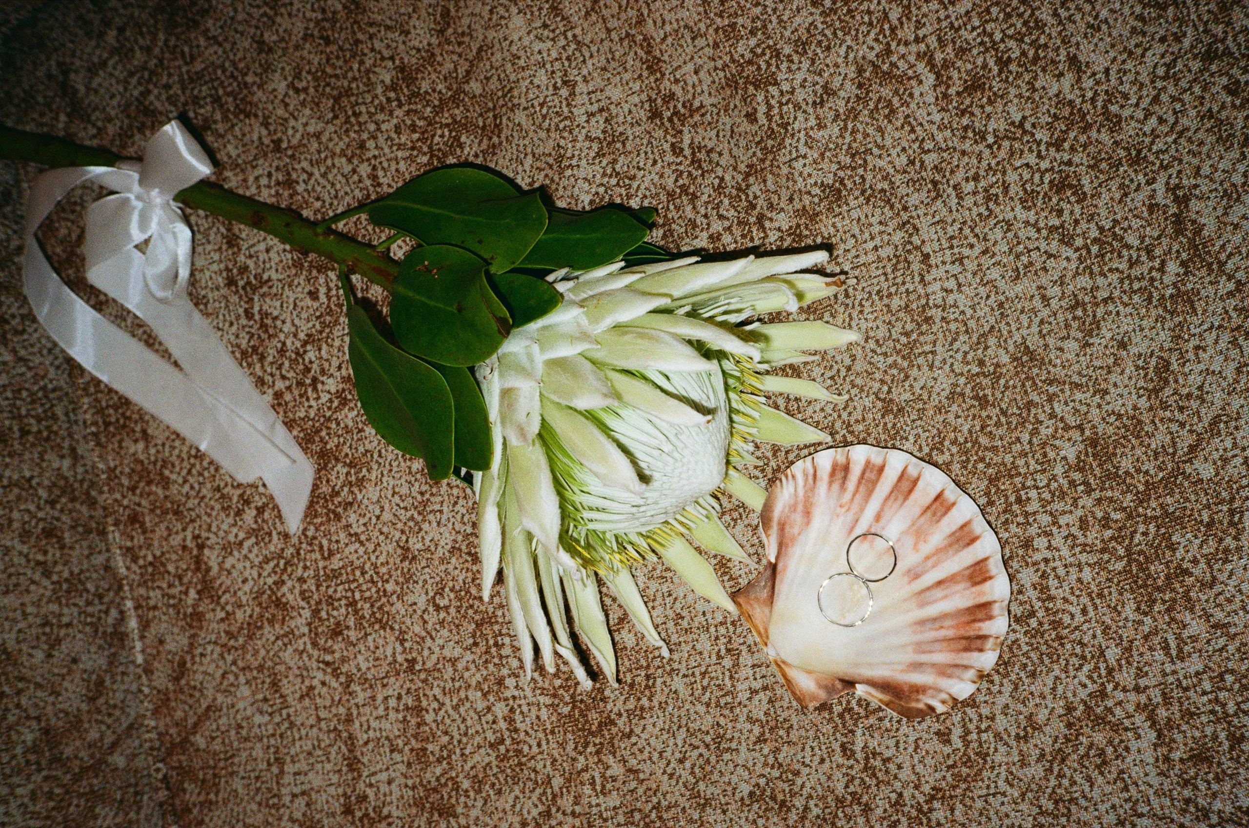 Больше, чем сильно!. Свадебный фотограф Москва