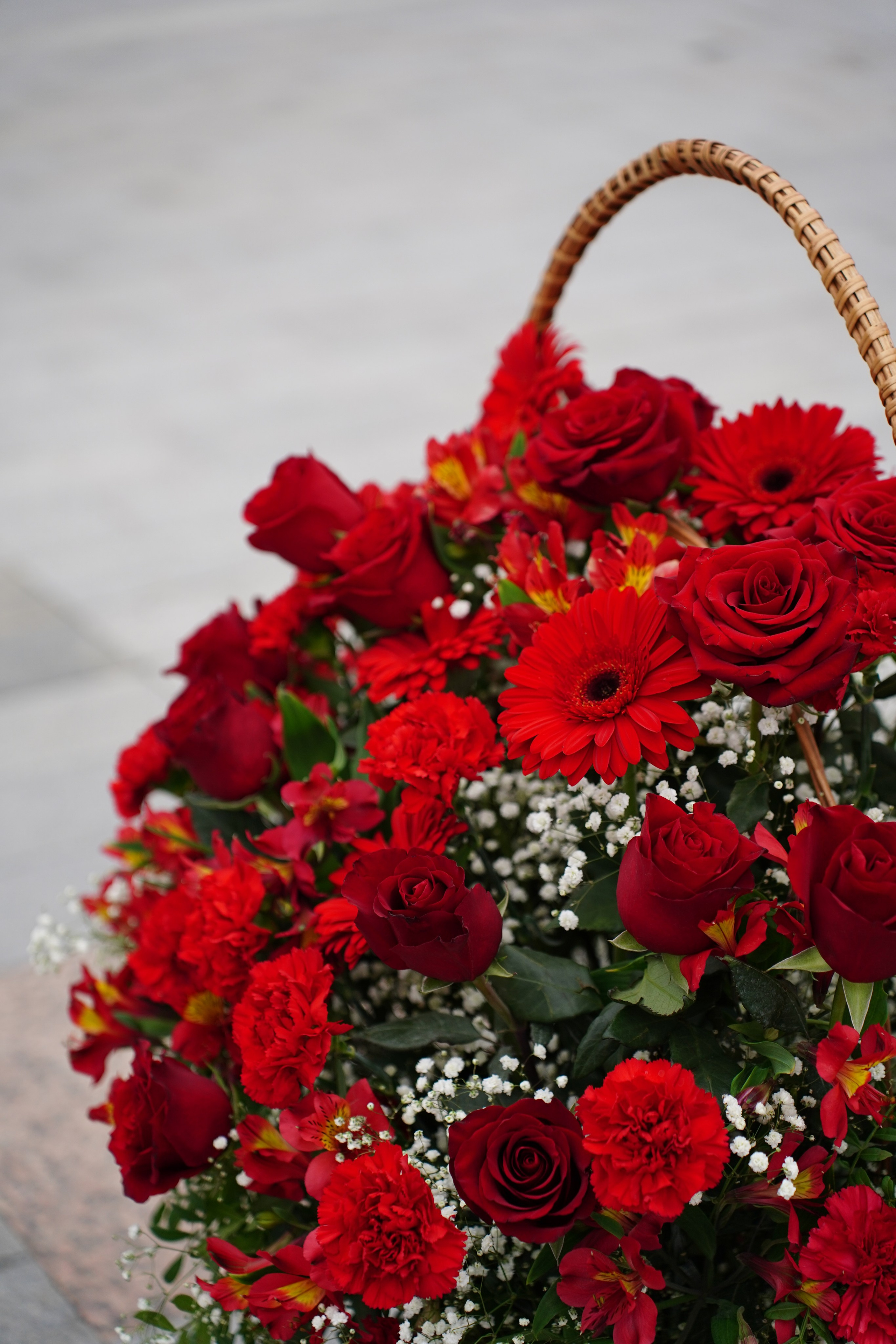 II Евразийский форум Колоректальной Хирурги EFCS. Pupov.png