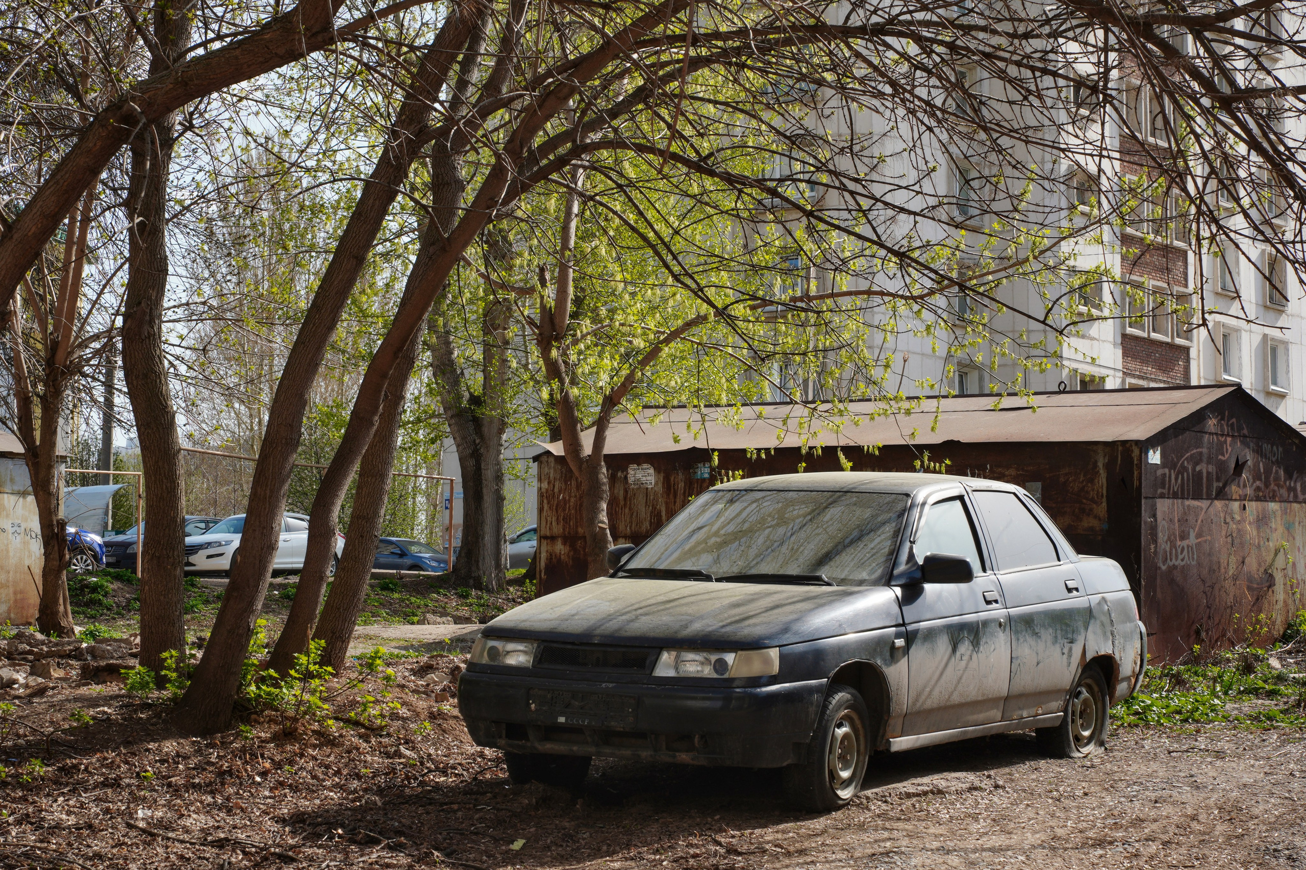 Авто-фотография. Pupov.png