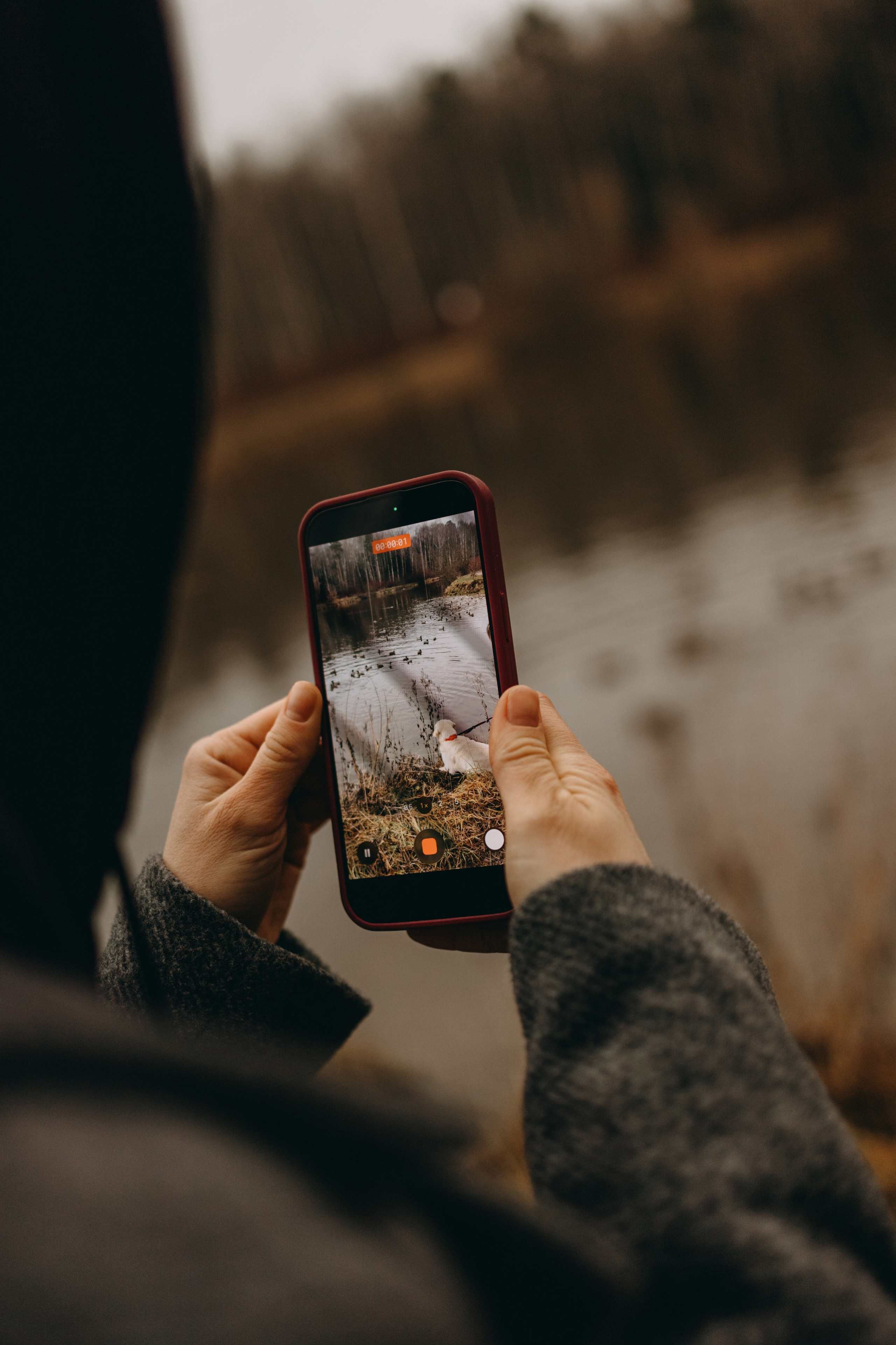 Лаки и его семья. Фотограф — Анималист | Санкт-Петербург