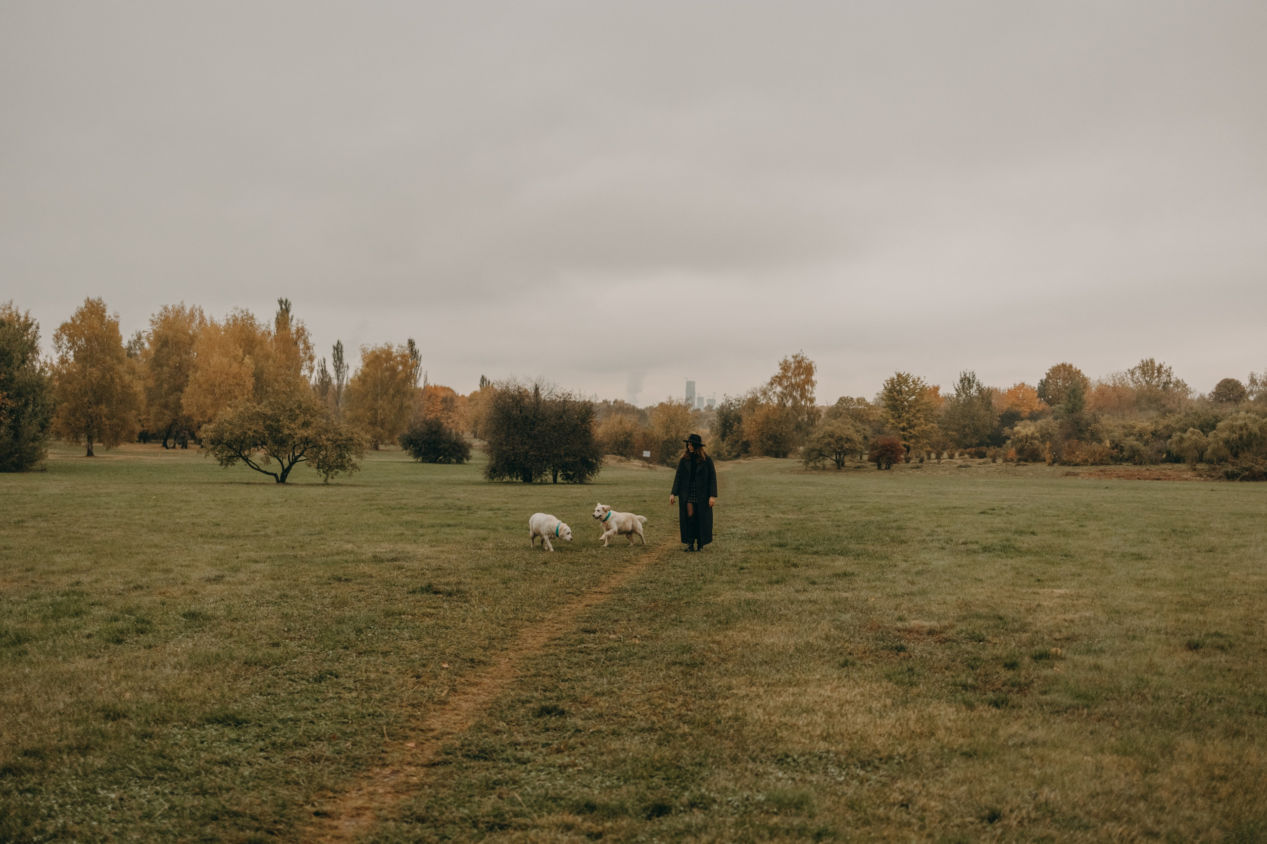Женя и ее девочки. Фотограф — Анималист | Санкт-Петербург