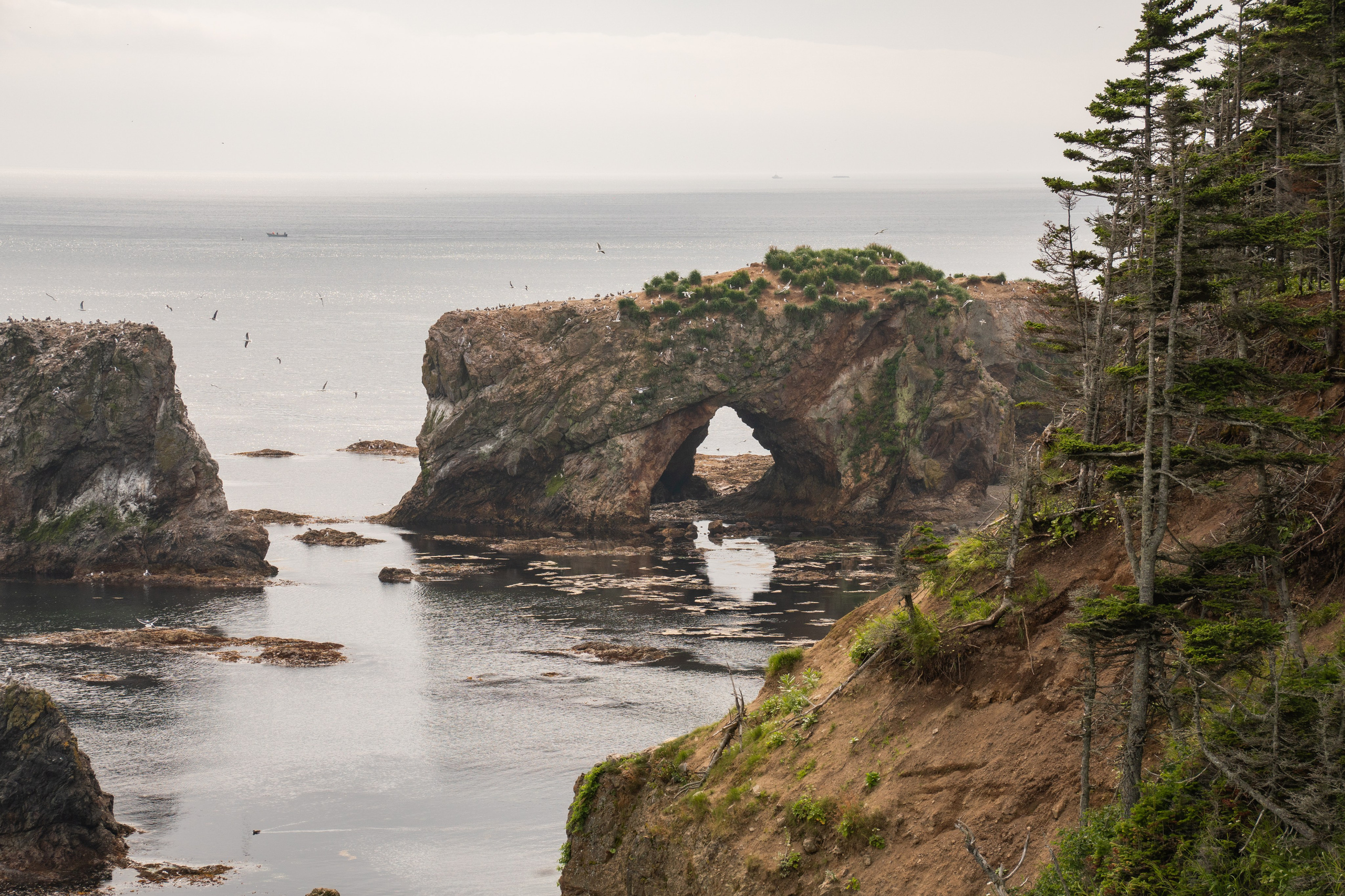 Сахалин. Gusarov Travel Photography