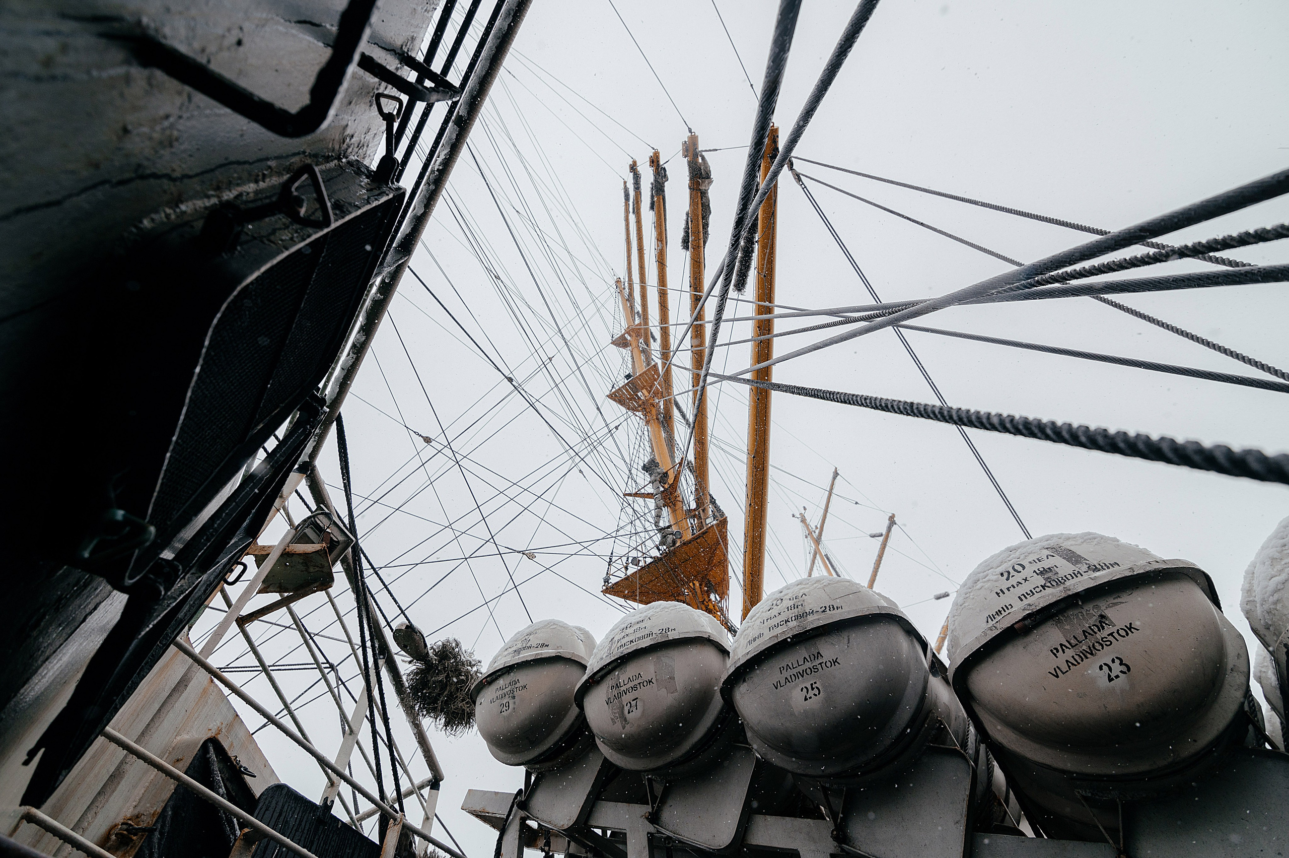 ШКОЛЬНЫЕ РЕПОРТАЖИ. Фотограф Вера Демидкова