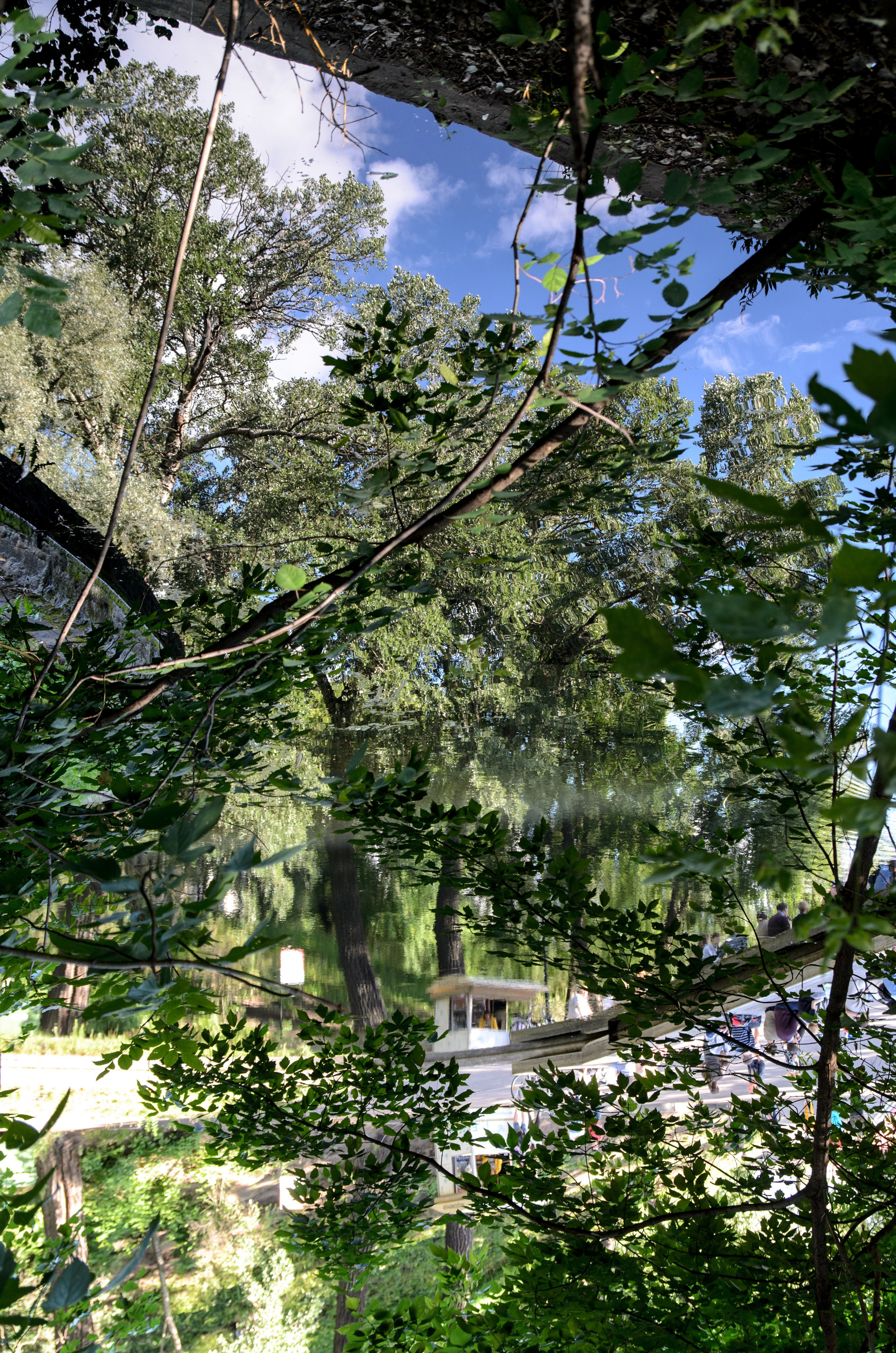 Репортаж. Фото, видео, монтаж