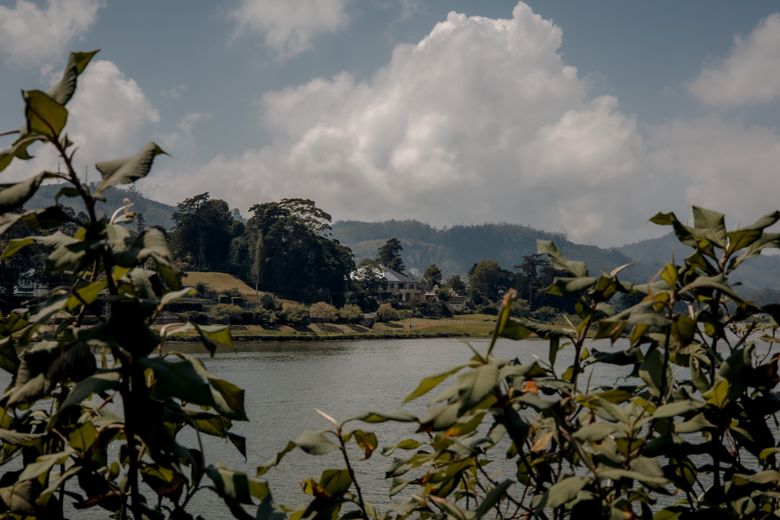 Sri Lanka, Nuwara Elia 2026. Art Photographer