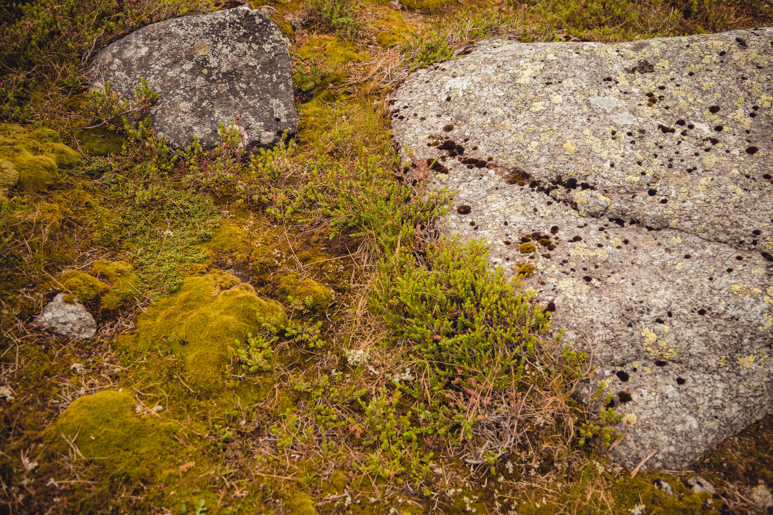 Кольский полуостров. Фотографирую для себя, своей семьи и друзей!