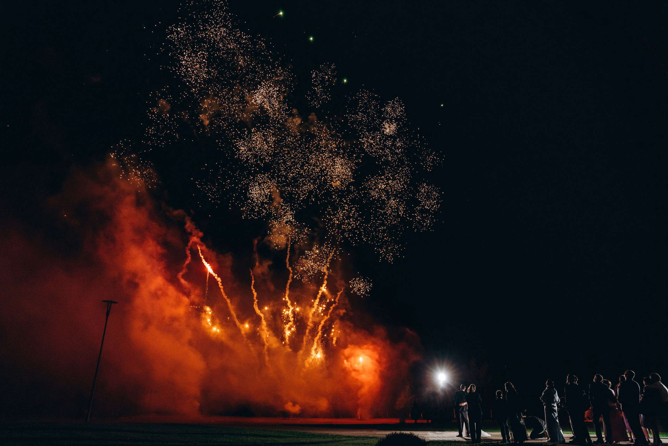 Игорь и Элина. Выездная регистрация «Летний Дворец». Зайковский Кирилл