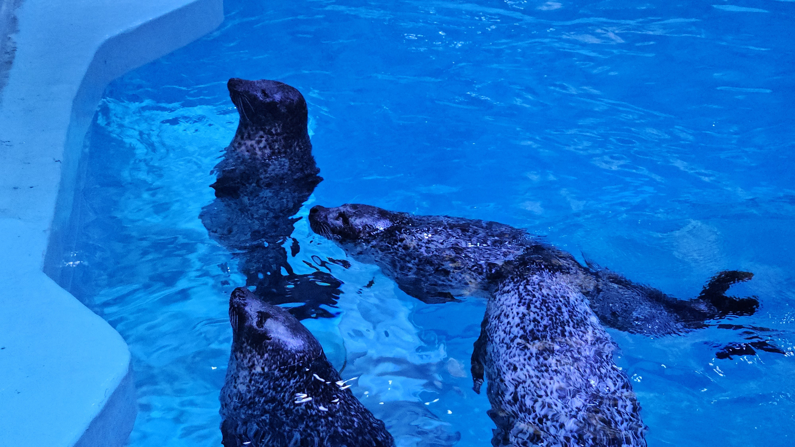 Китай. Июль 2025