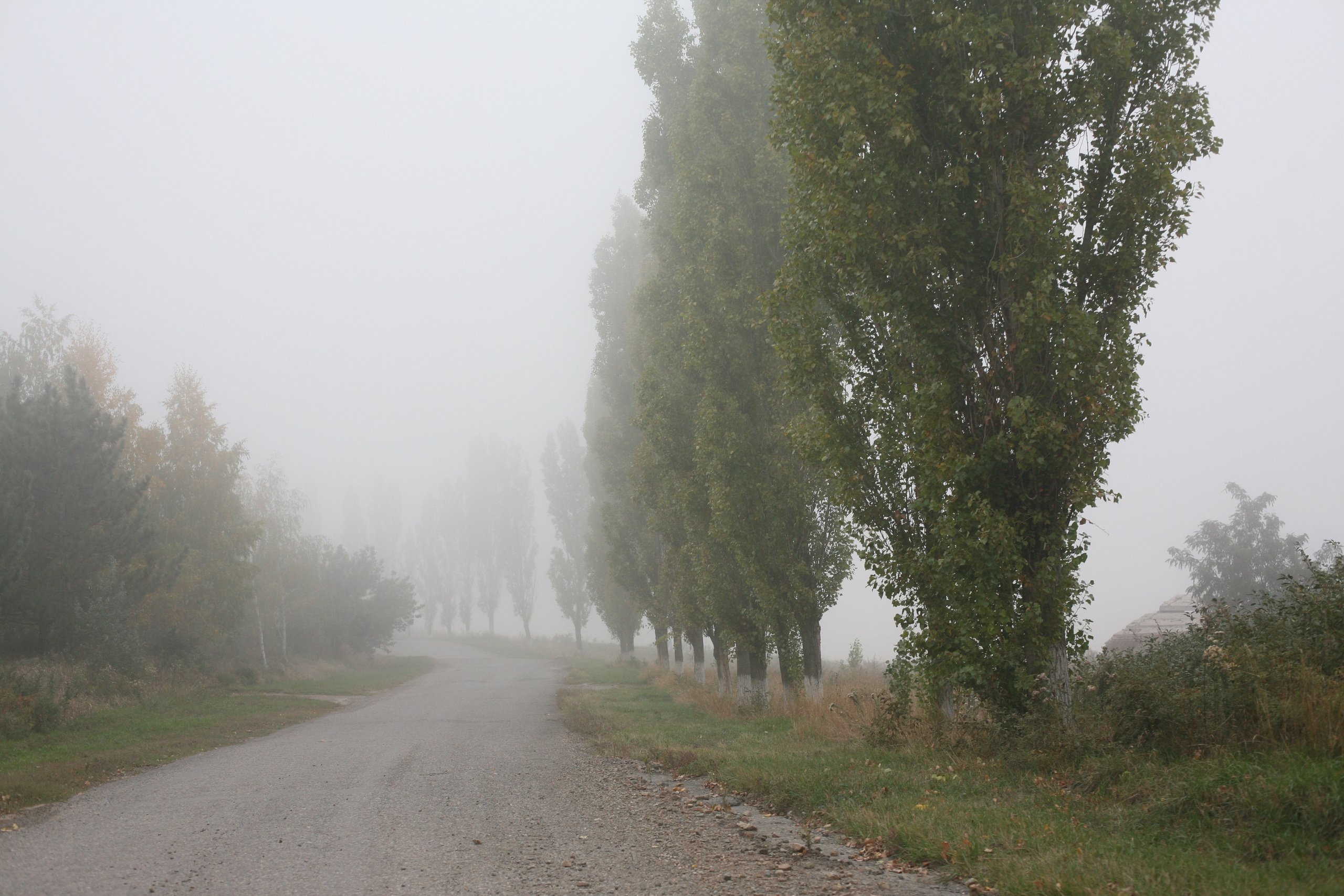 Обрыв. Ксения Плотникова