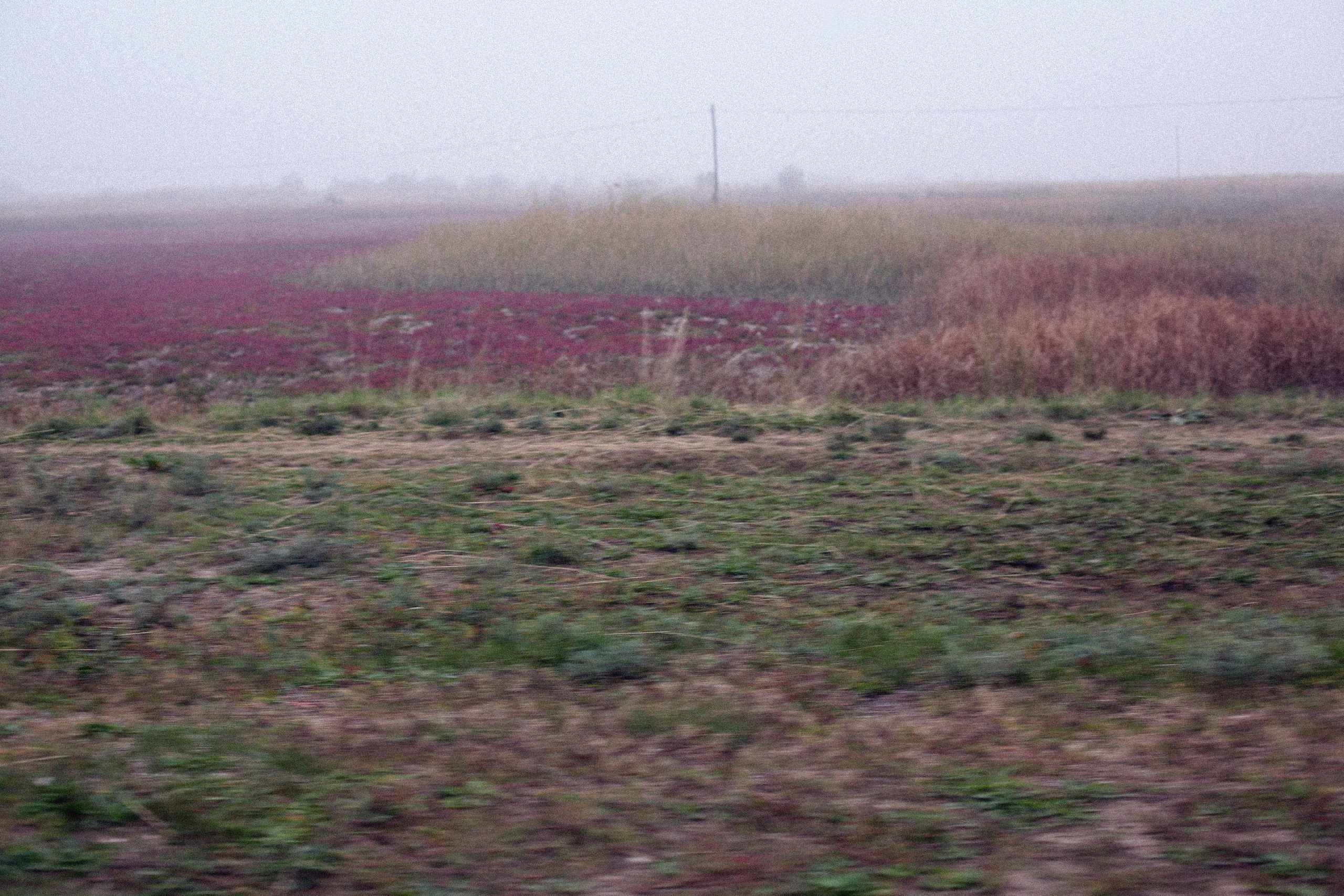 Обрыв. Ксения Плотникова