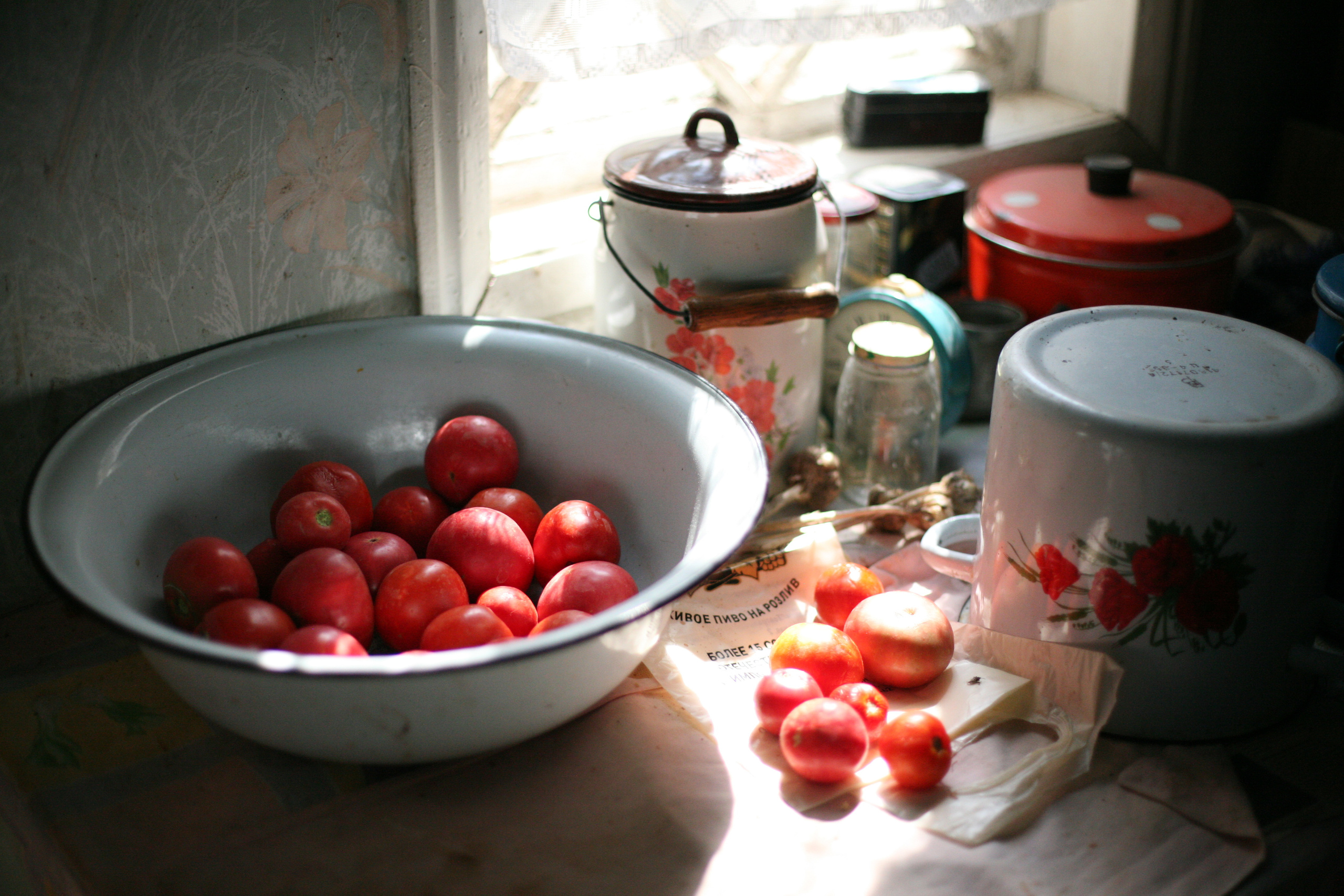 Обрыв. Ксения Плотникова