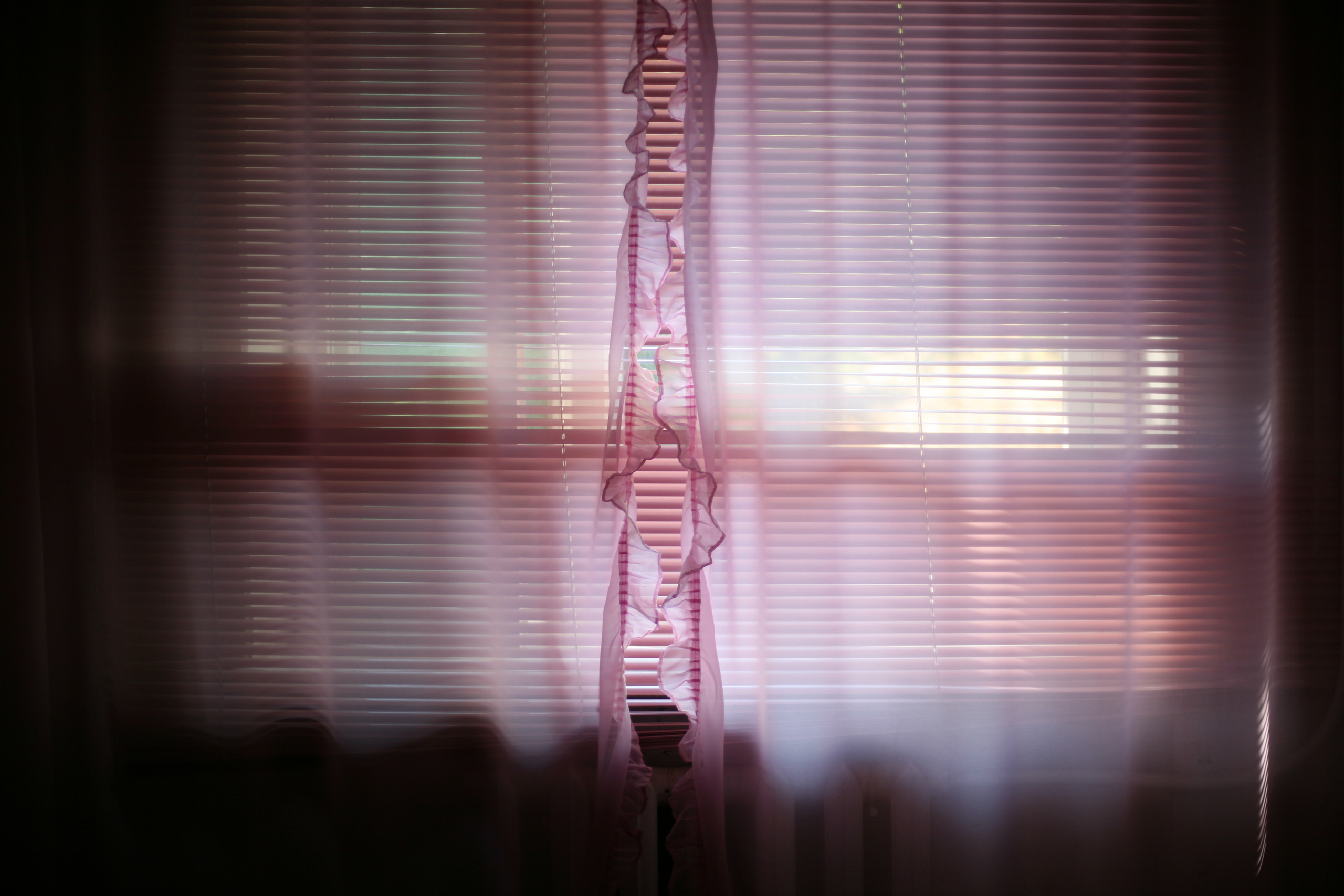 Обрыв. Ксения Плотникова