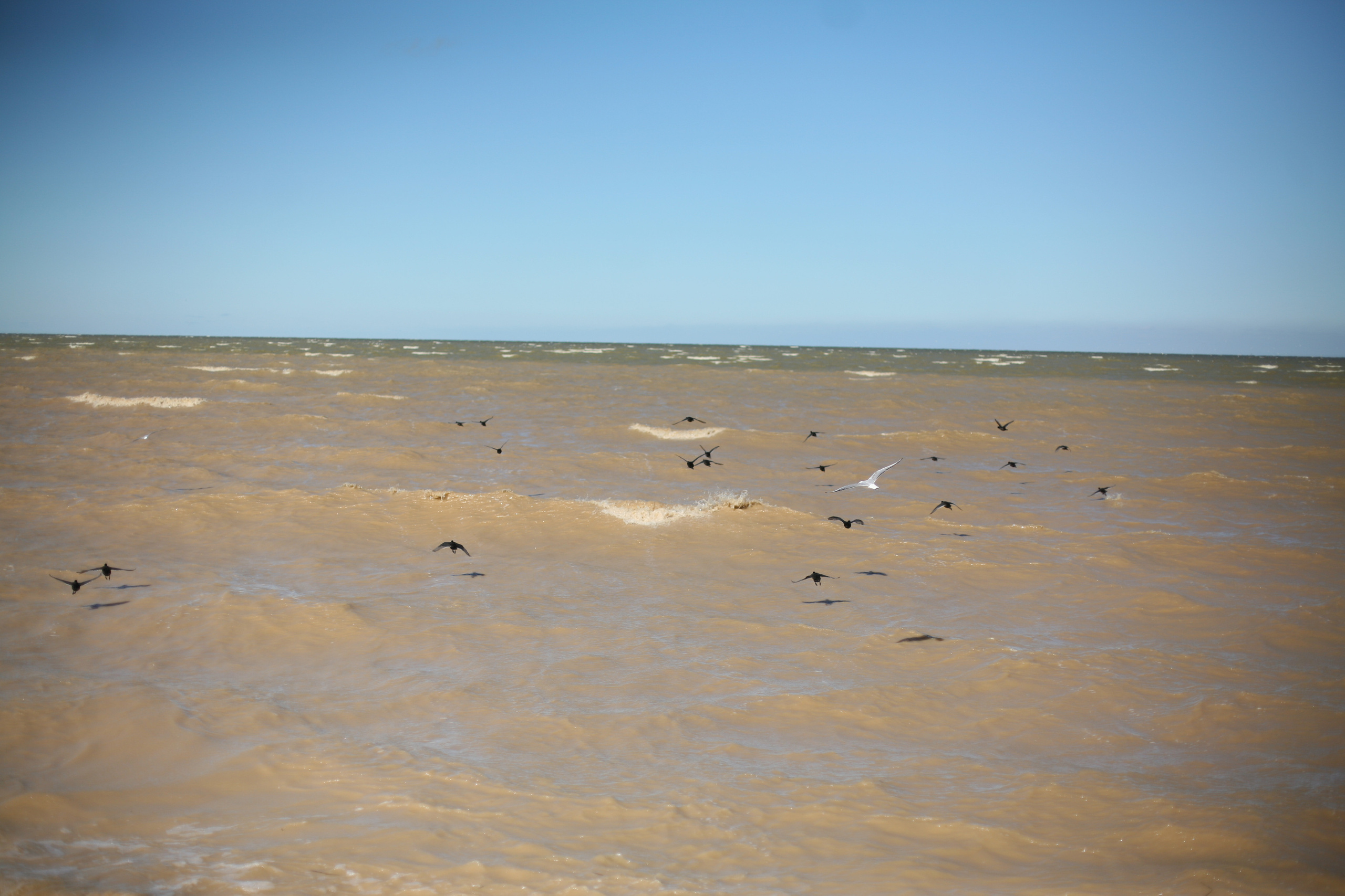 Обрыв. Ксения Плотникова