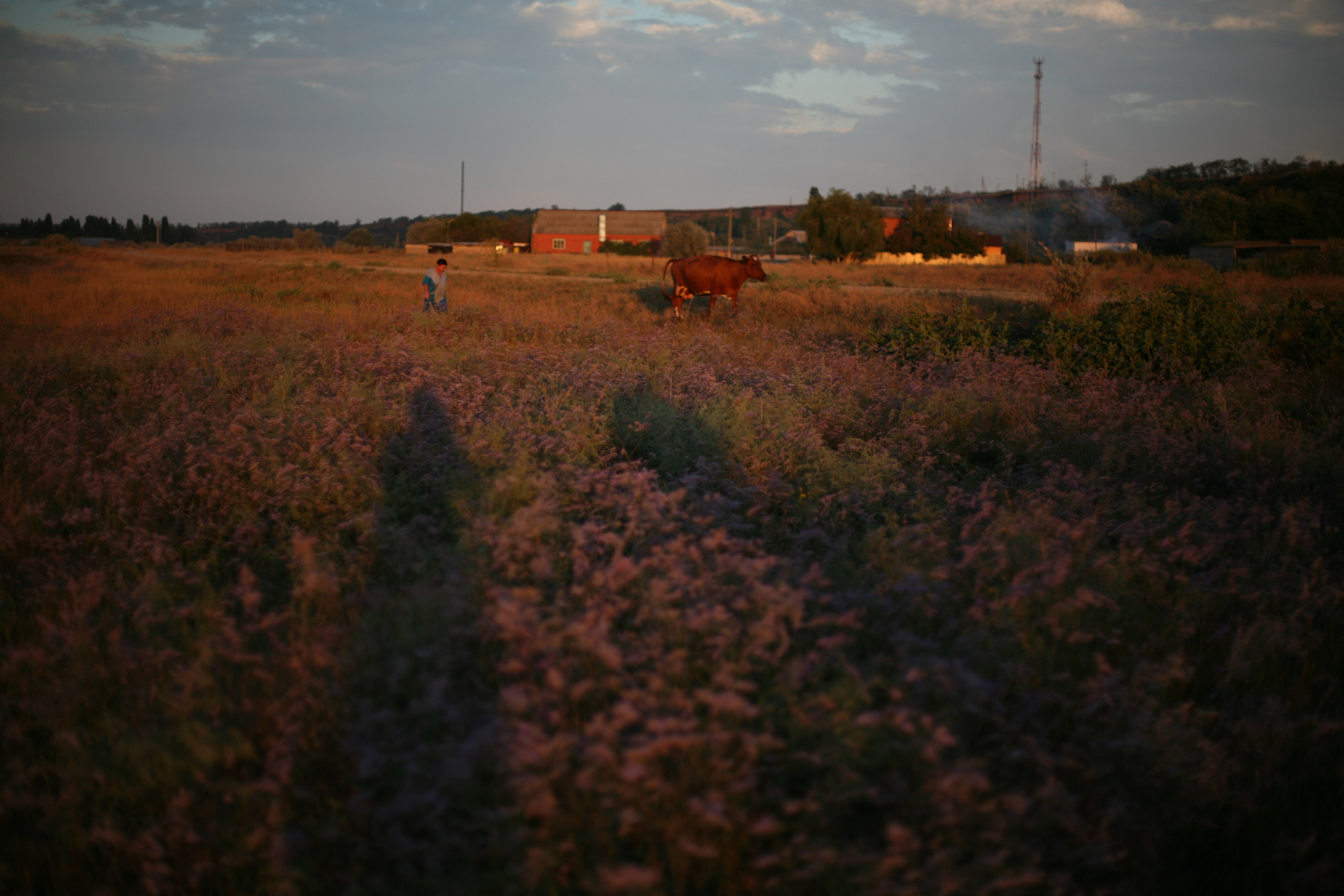 Обрыв. Ксения Плотникова