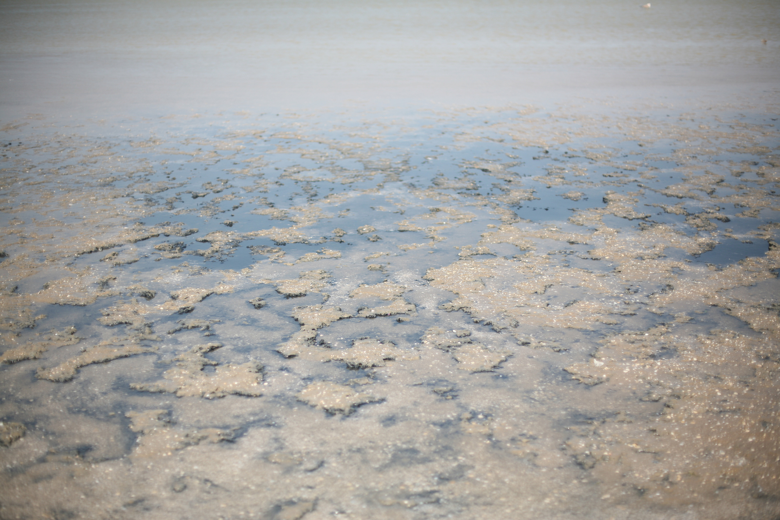 Обрыв. Ксения Плотникова