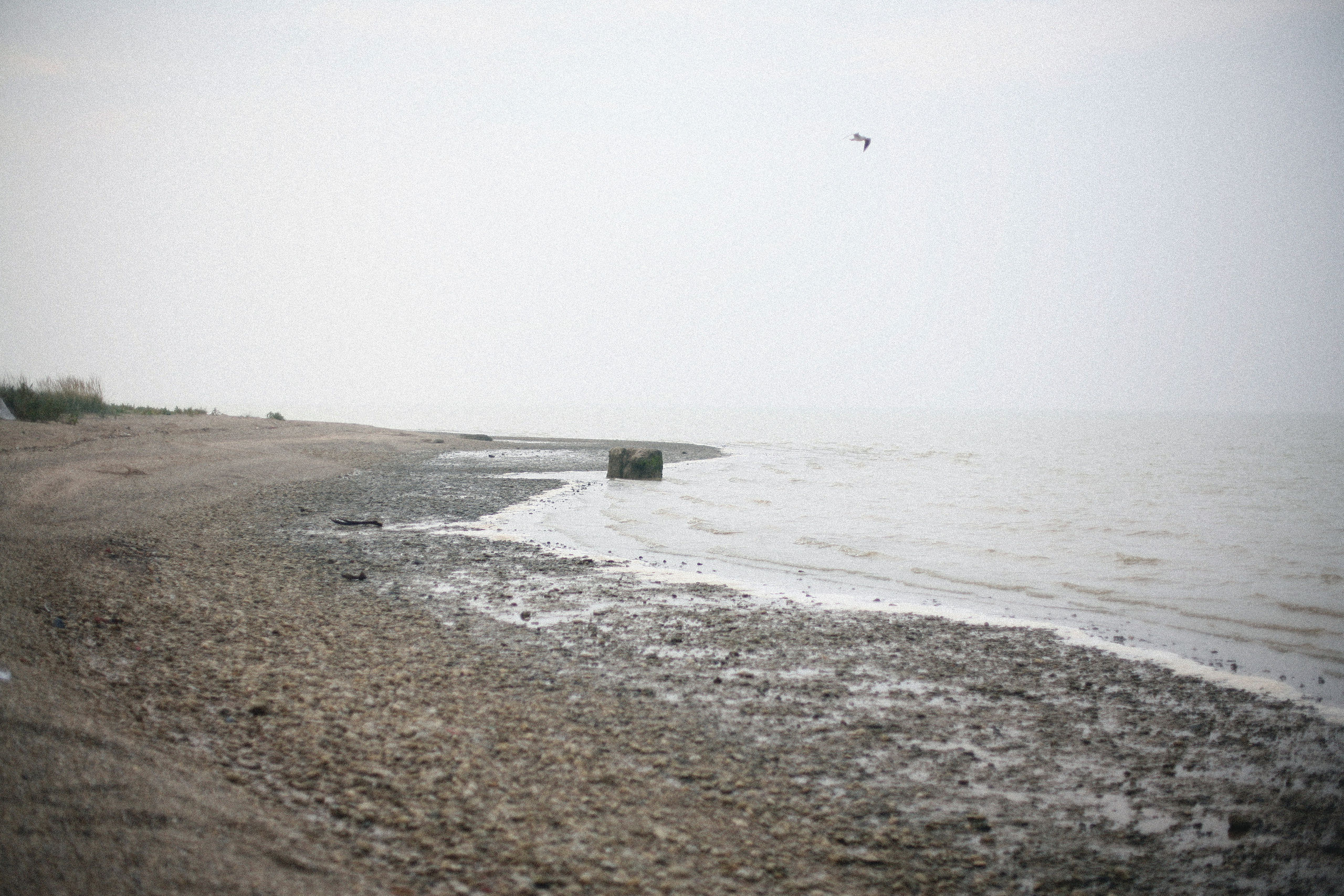 Обрыв. Ксения Плотникова