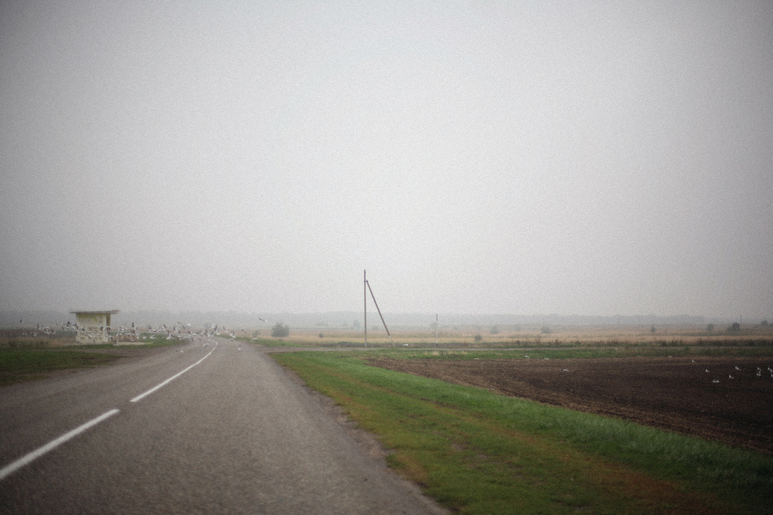 Обрыв. Ксения Плотникова